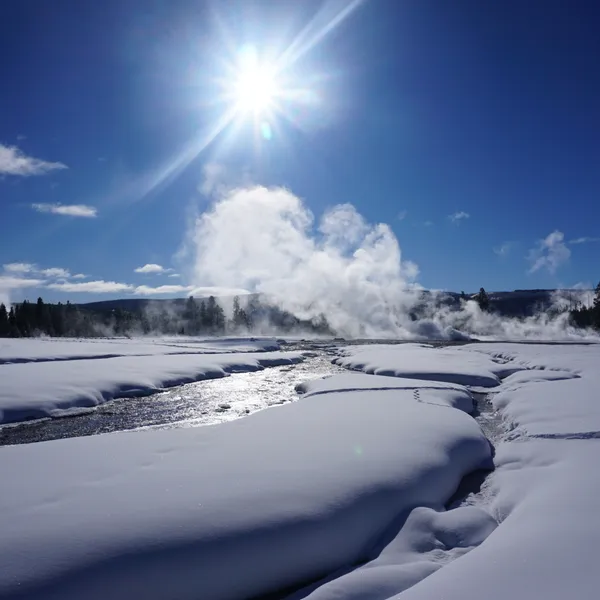 5 Reasons Why You Should Explore Yellowstone National Park In Winter