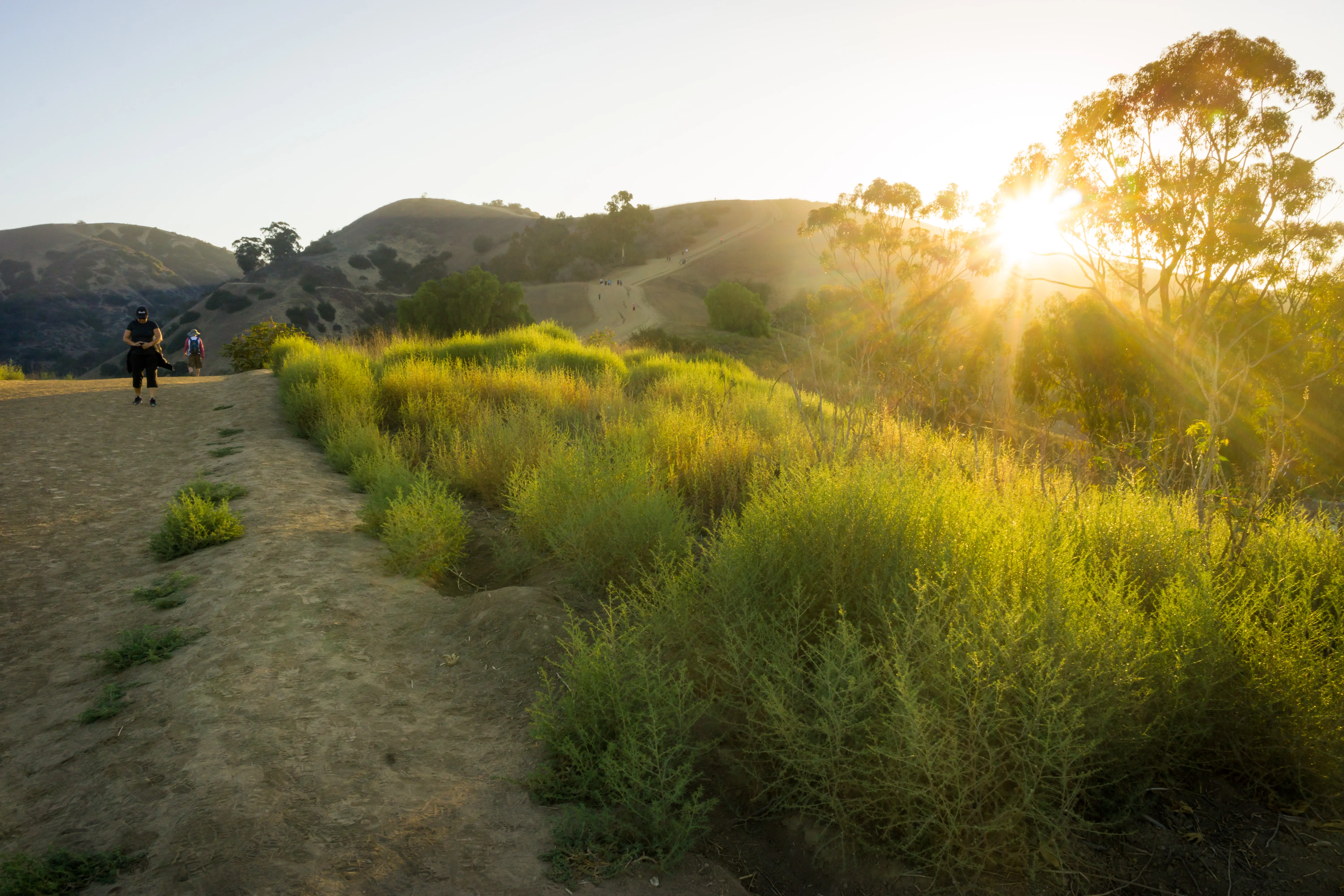 Hellman Park Trail