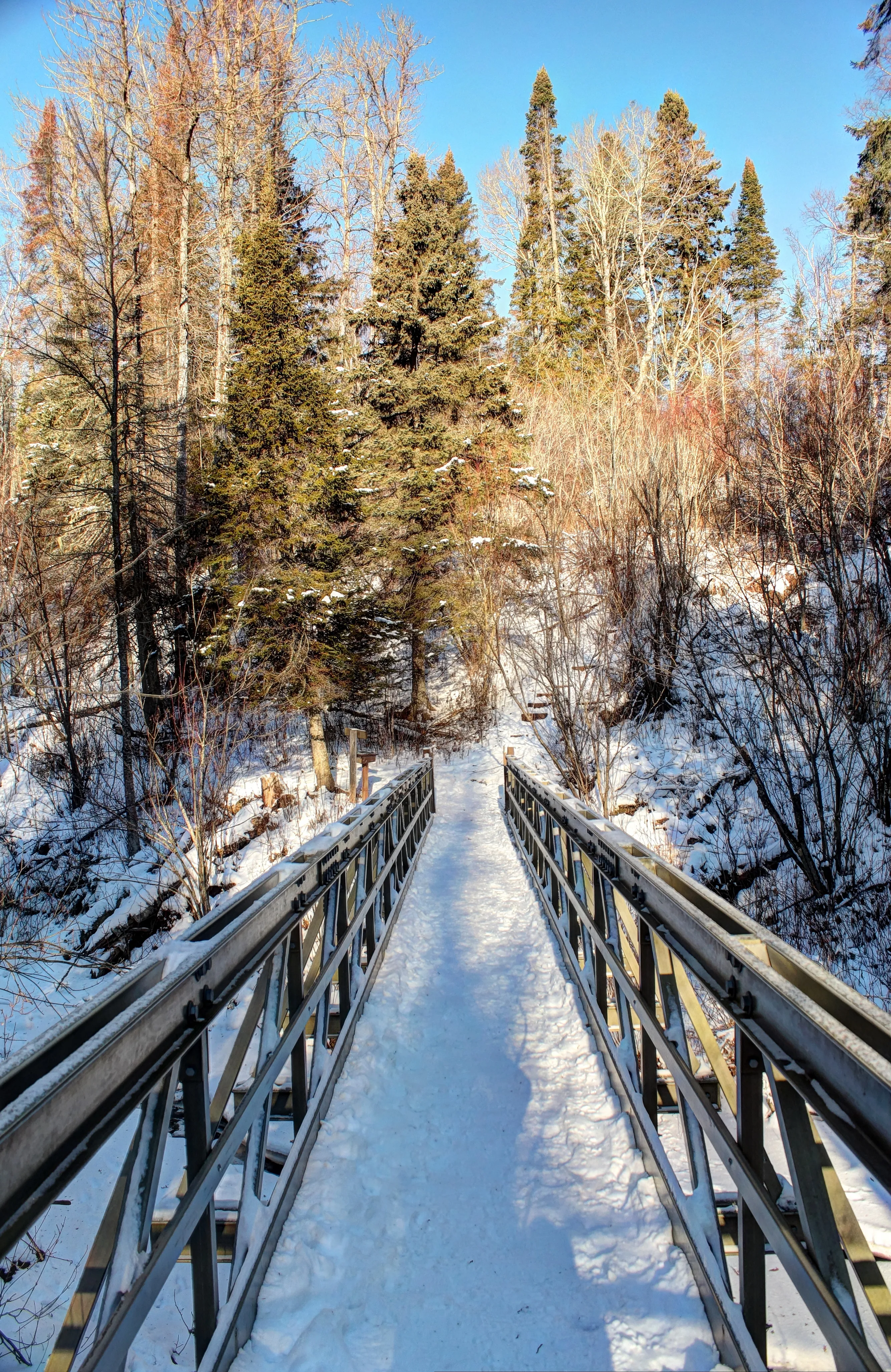 Snowshoe the Split Rock River Loop Trail