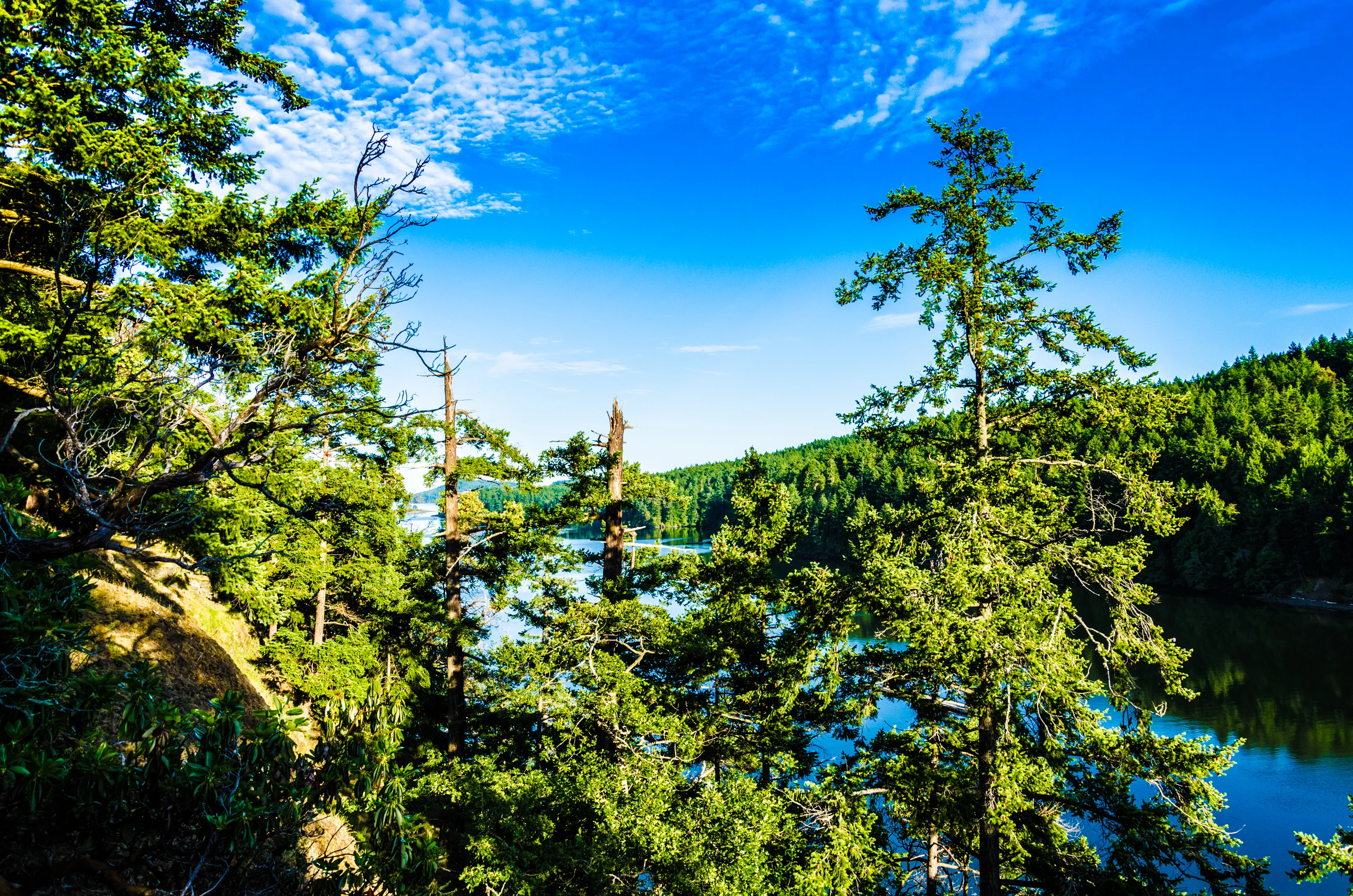 Hike to Lovers Leap on Stuart Island
