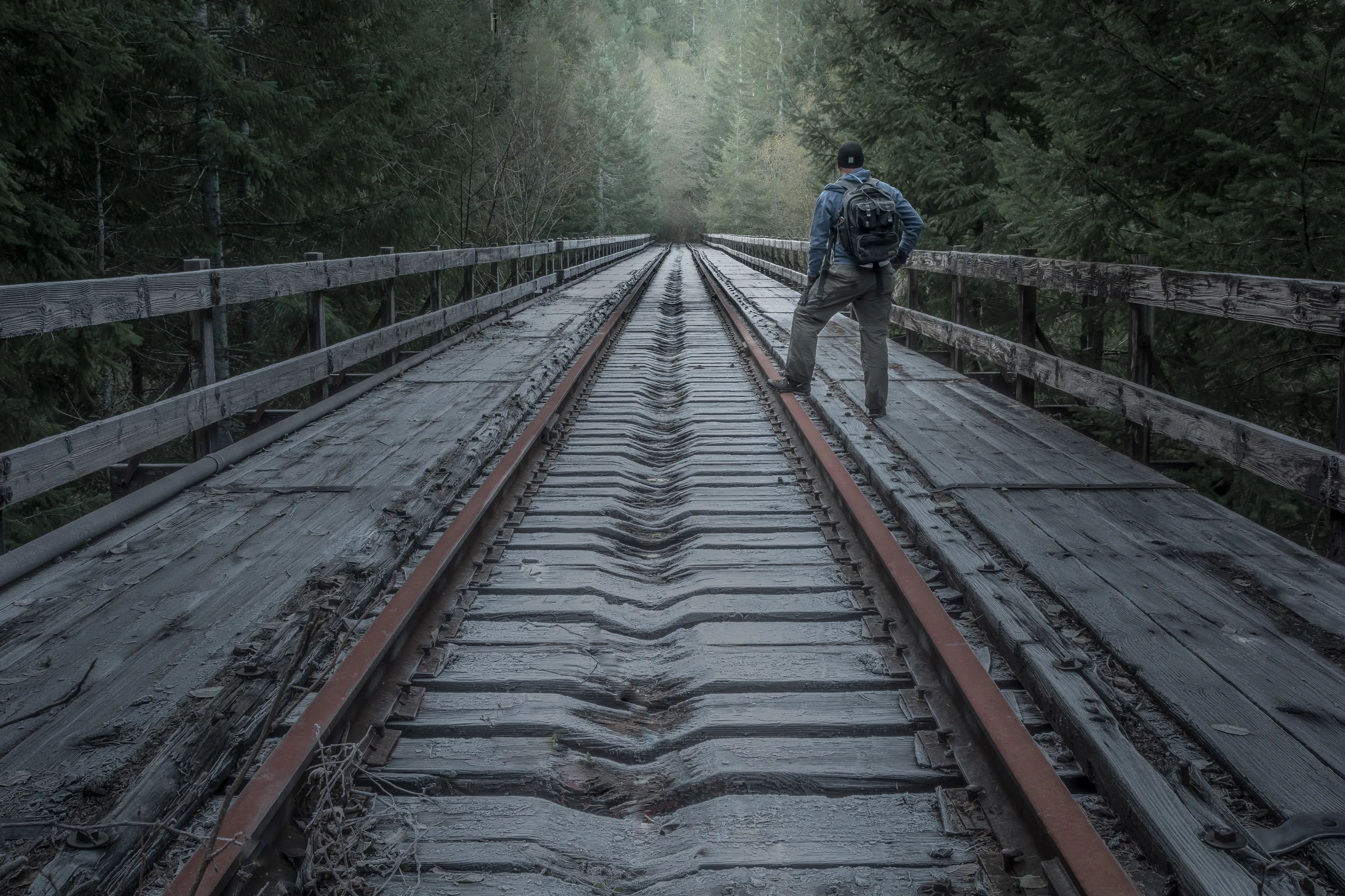 Upper Salmonberry River Trail