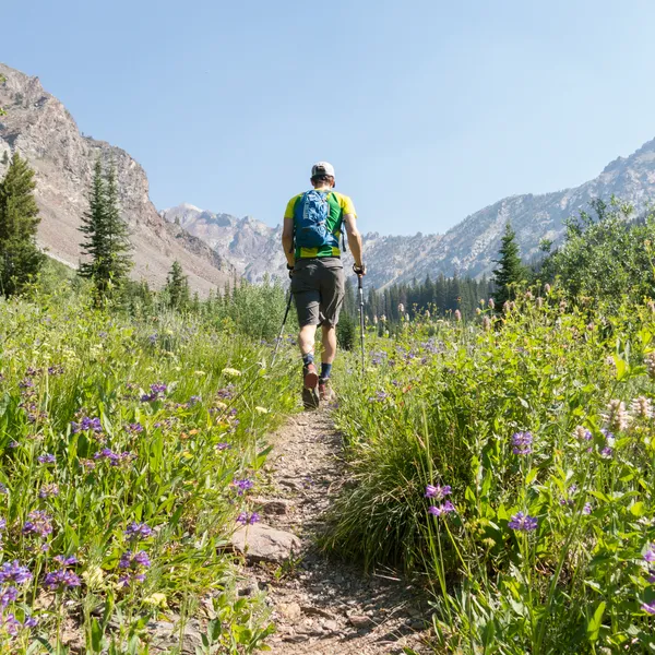 5 Must-Do Adventures Near Sun Valley, Idaho