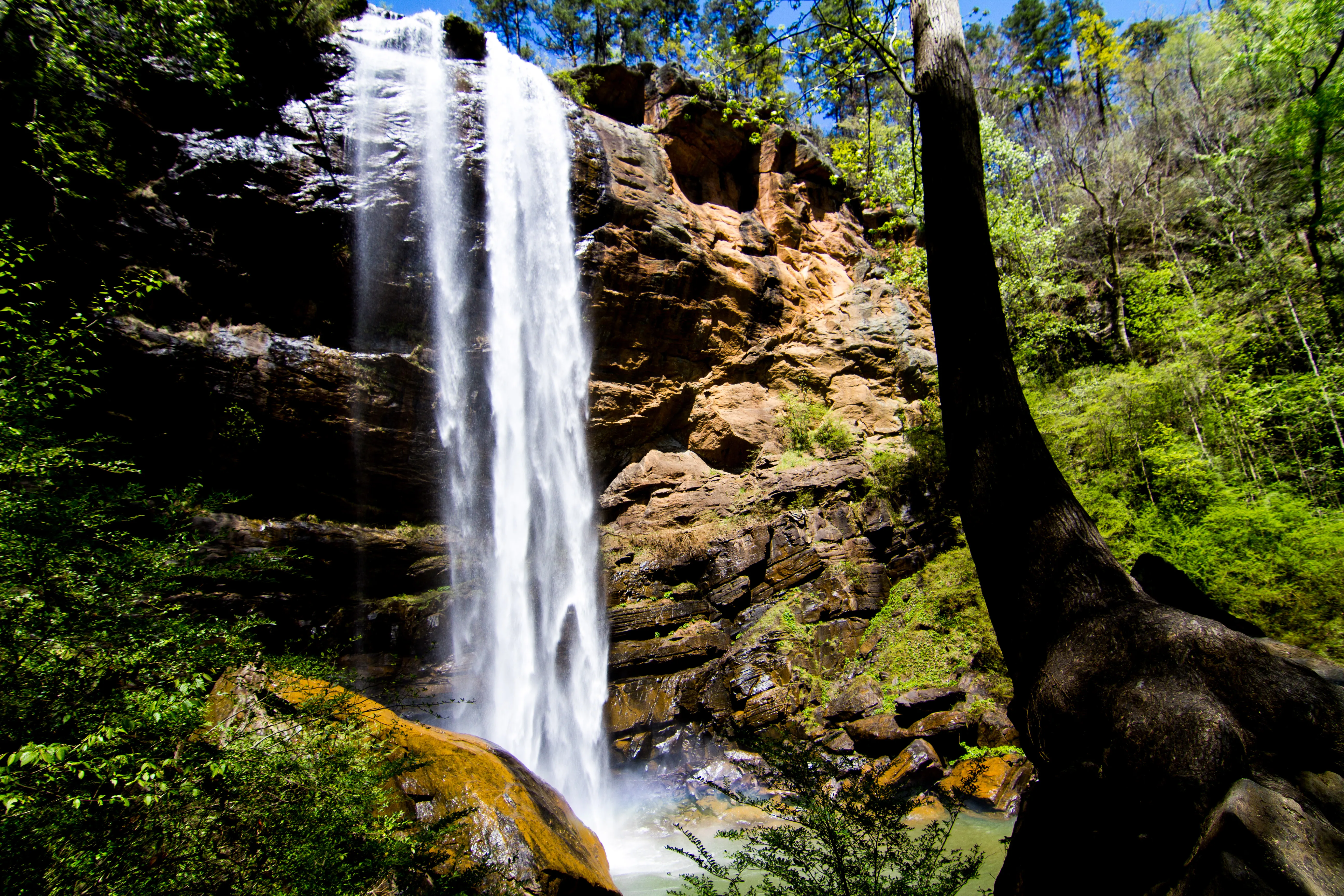 Toccoa Falls