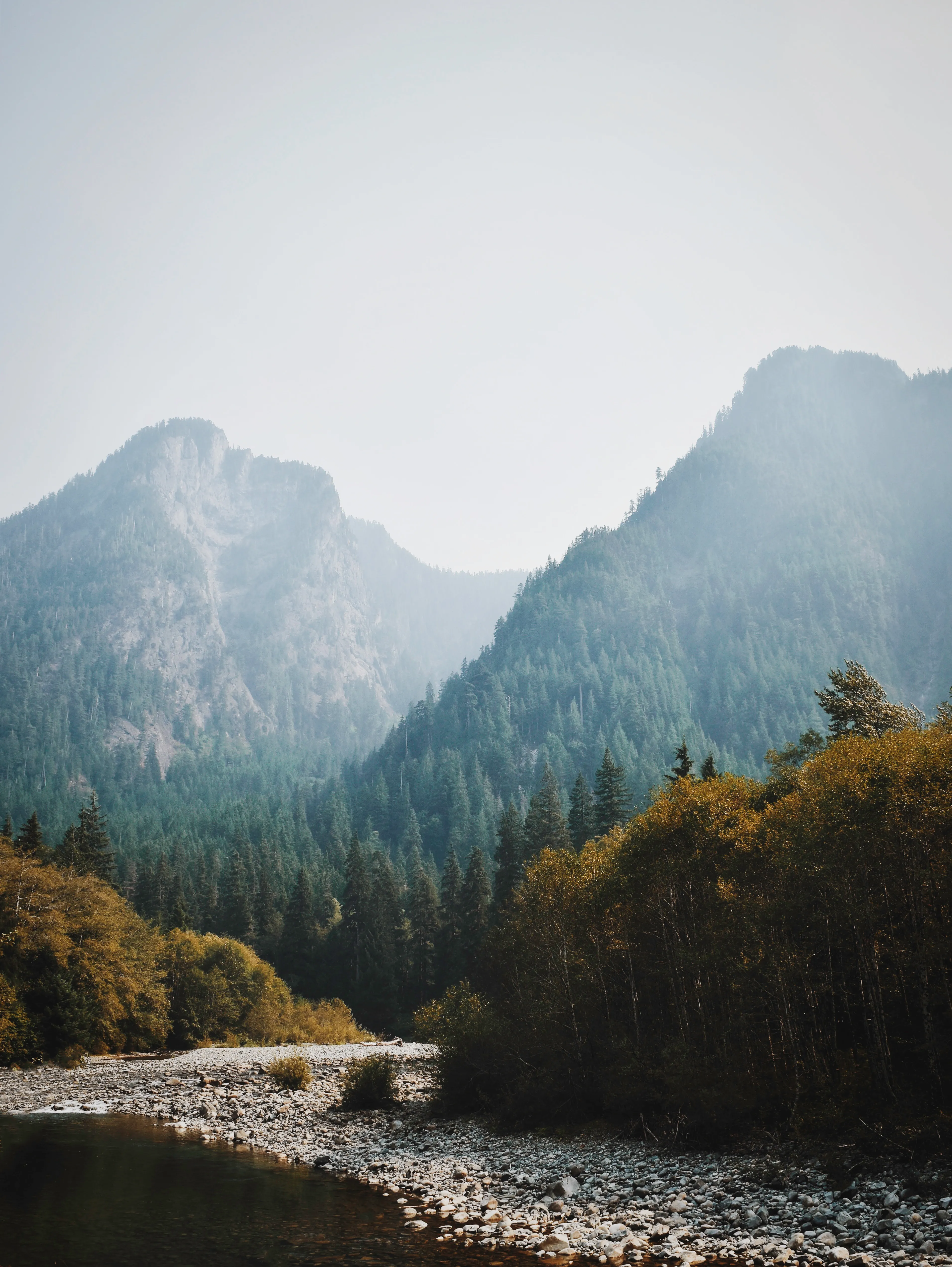 Drive Along the Middle Fork Snoqualmie River 