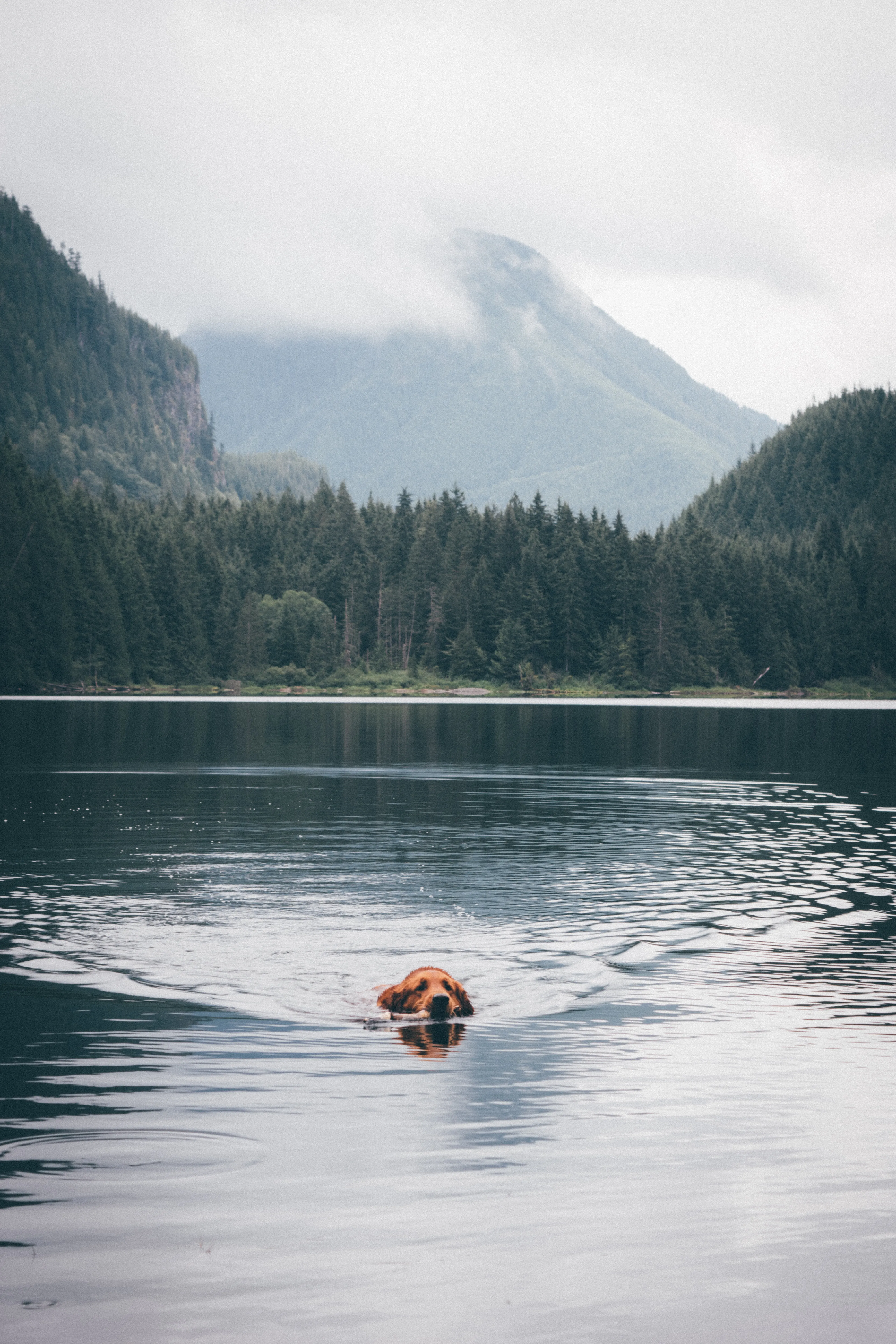 Hike to Wallace Lake via Greg Ball Trail