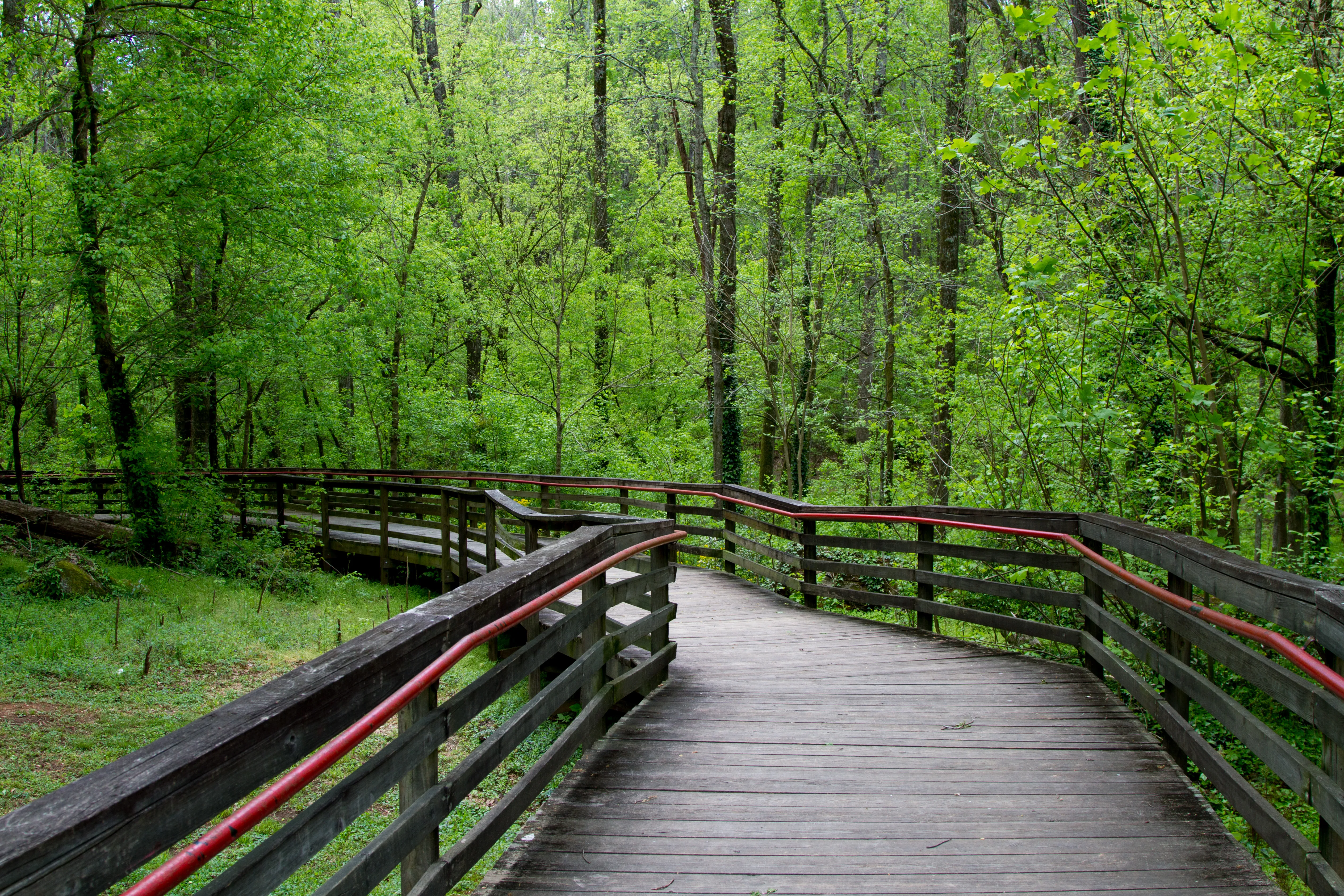 Cascade Springs Trail