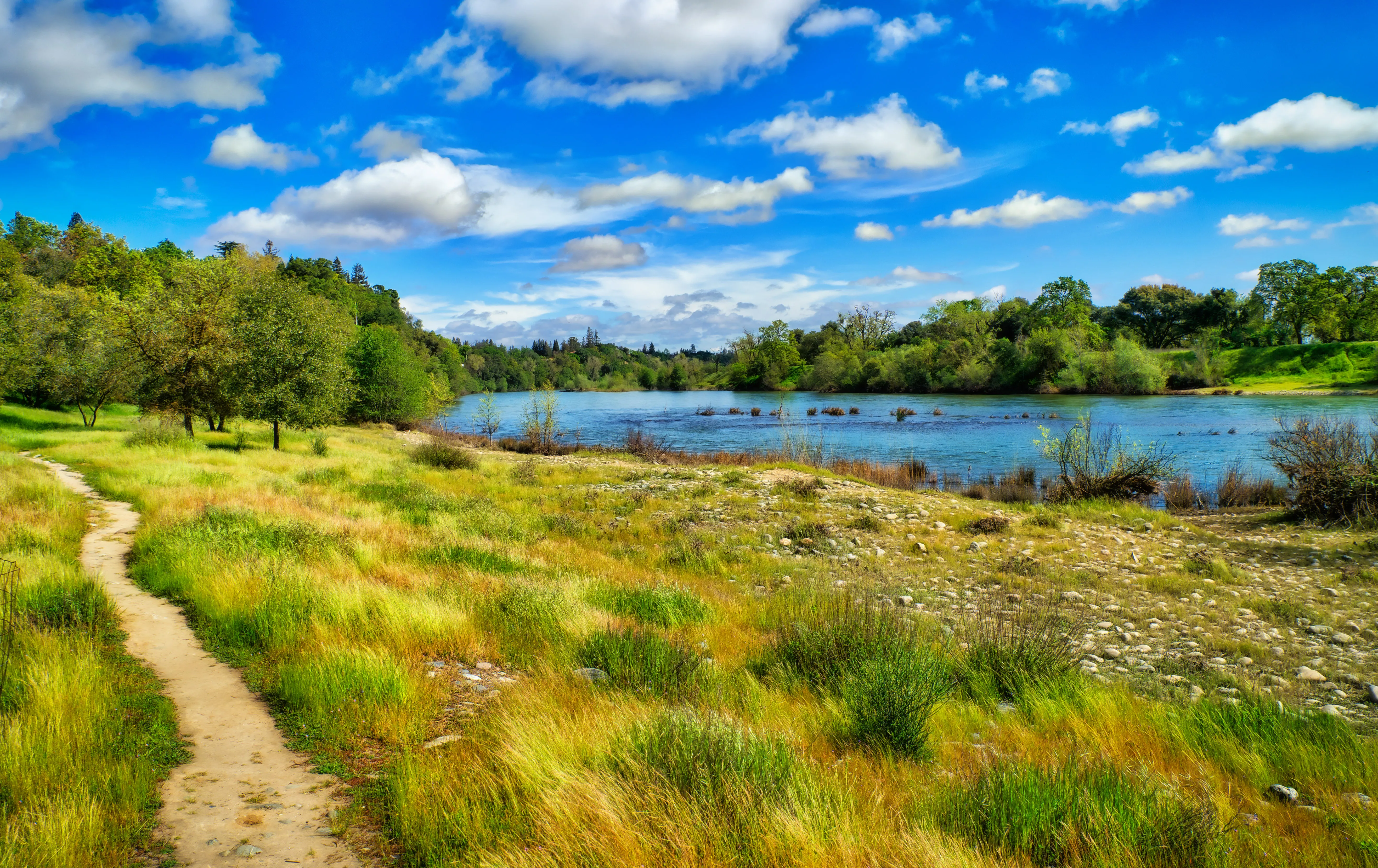 Hike through the Effie Yeaw Nature Preserve