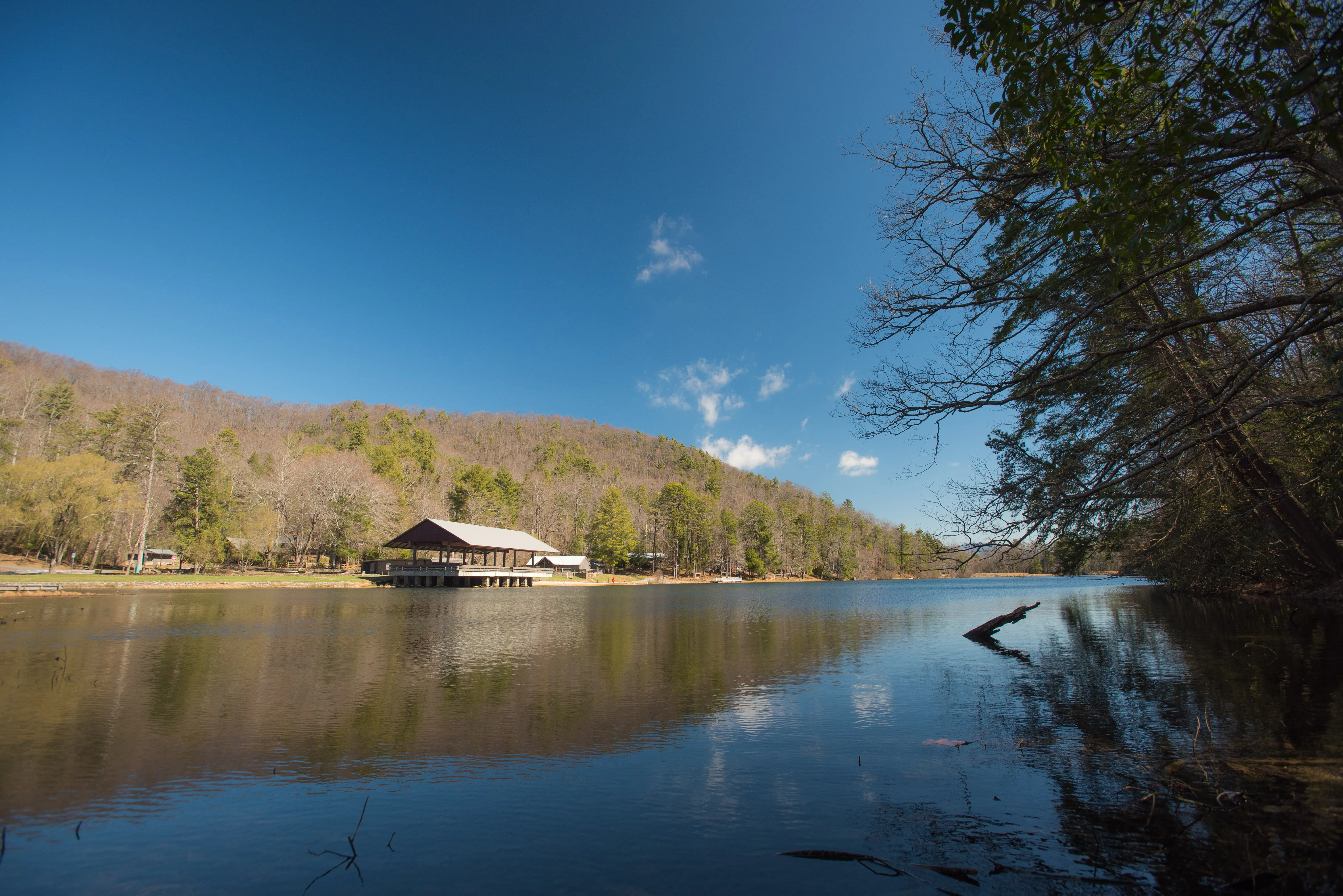 Camp at Vogel State Park