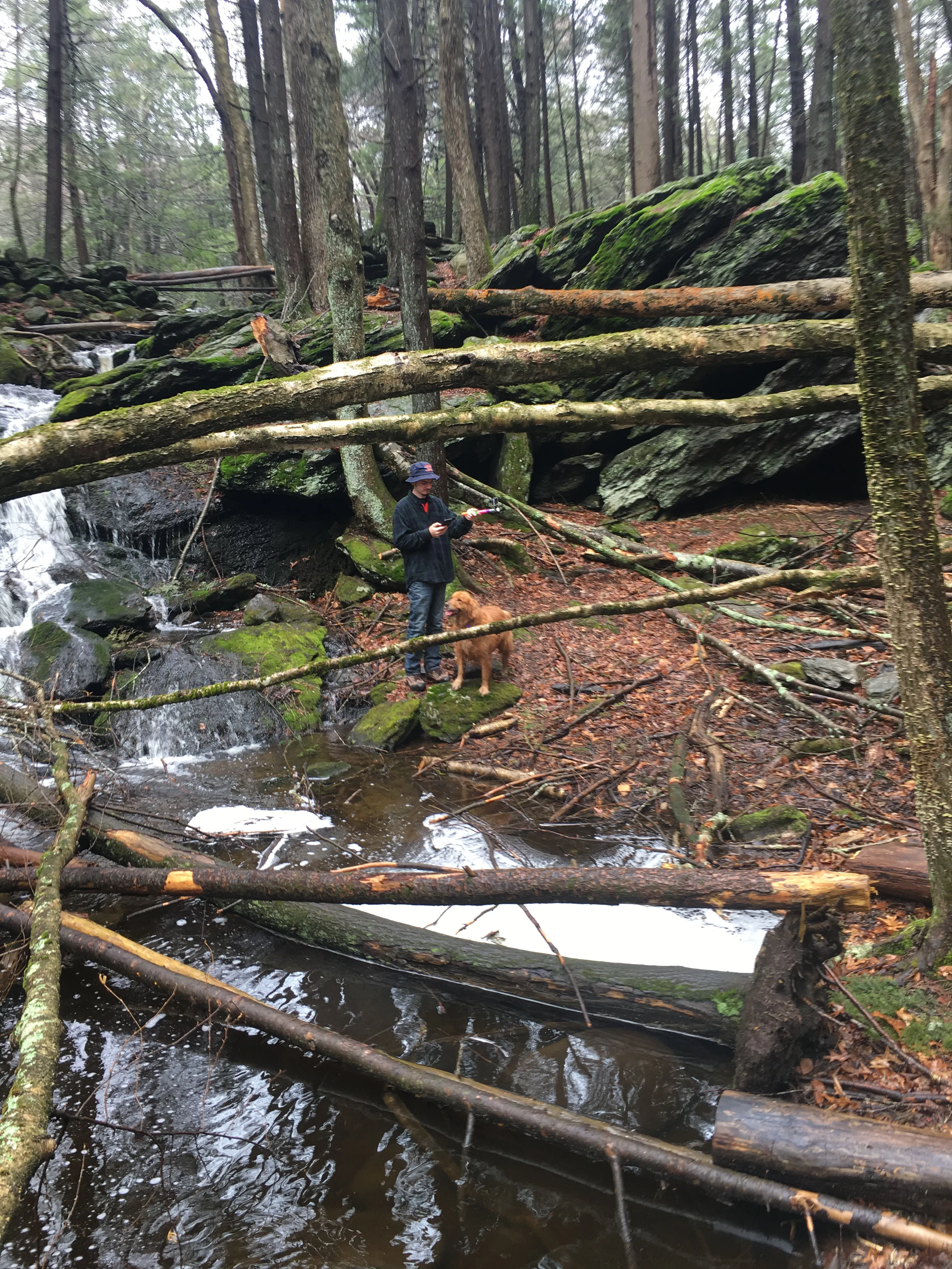Hike Baileys Ravine at Ayer's Gap Preserve
