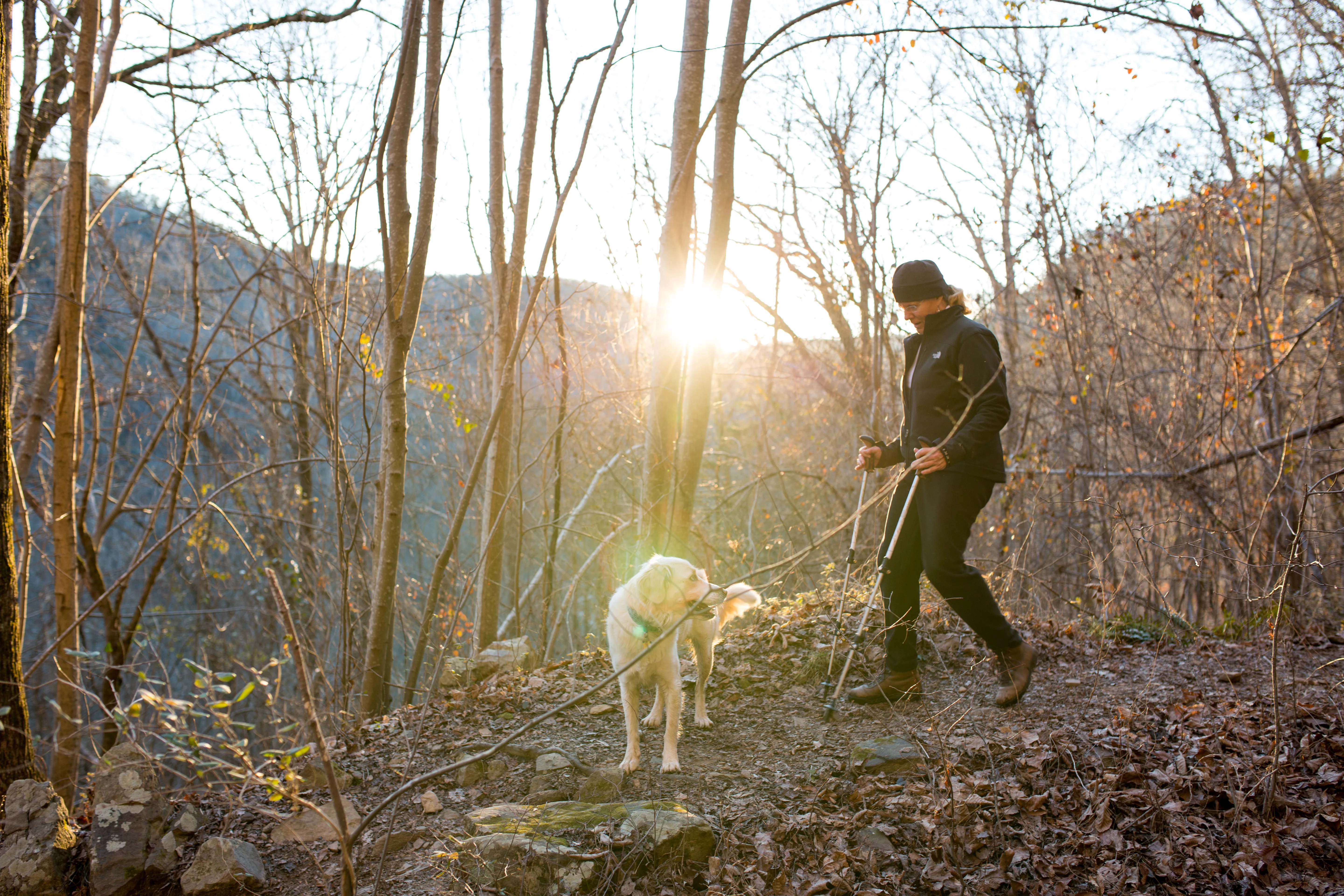 Hike the Hogskin Upper and Lower Loop