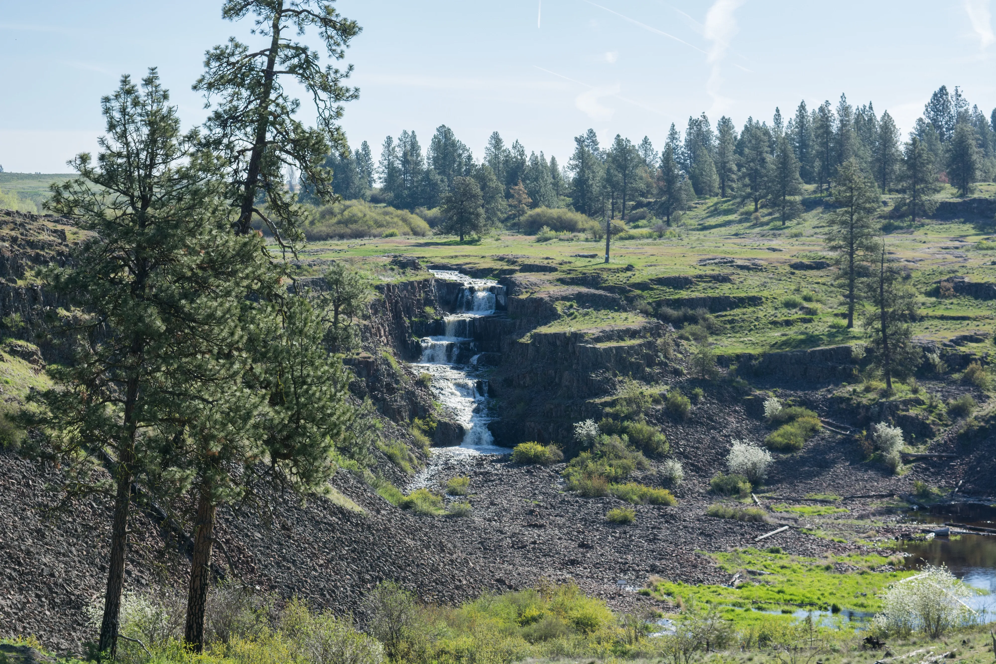 Hog Lake Loop