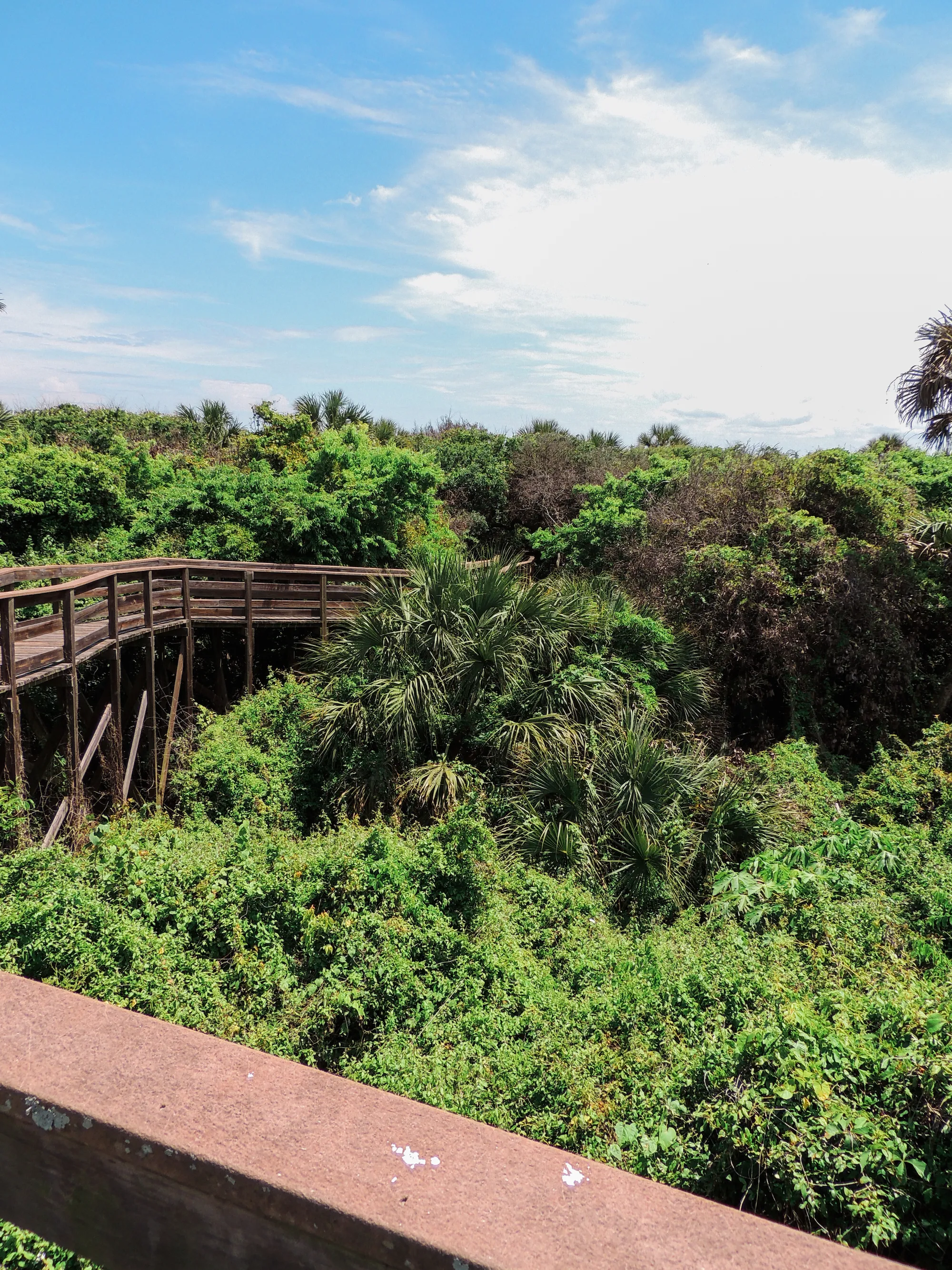 Hike the Turtle Mound Trail