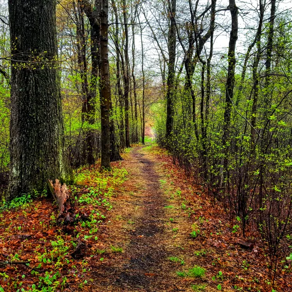 Bike the Lehigh Gorge Trail: Lock #2