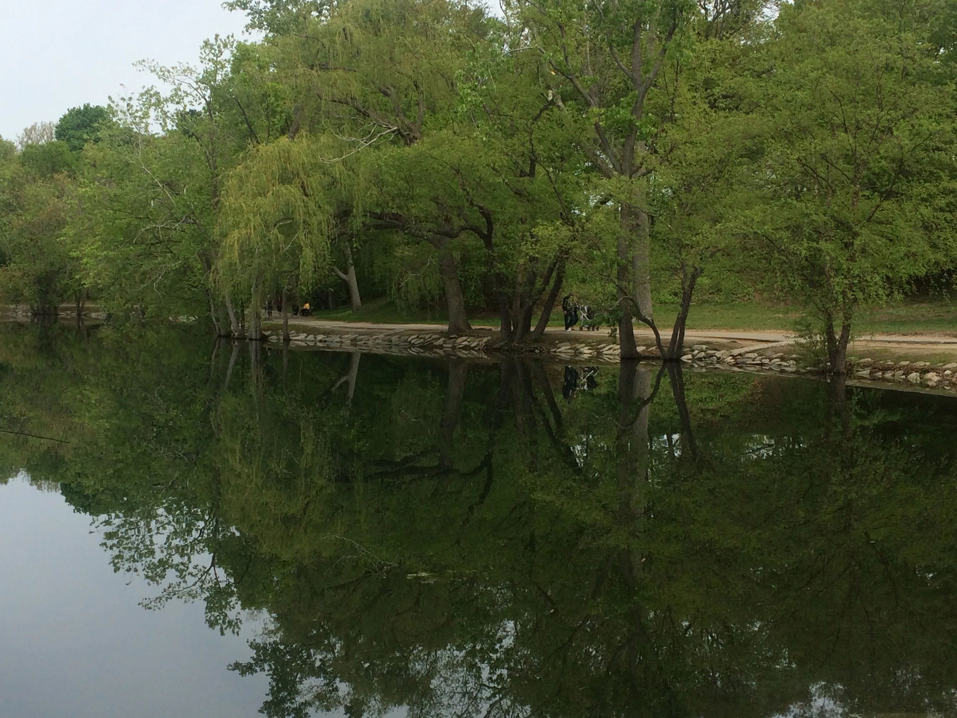 Run the Jamaica Pond and Victorian Jamaica Plain Loop
