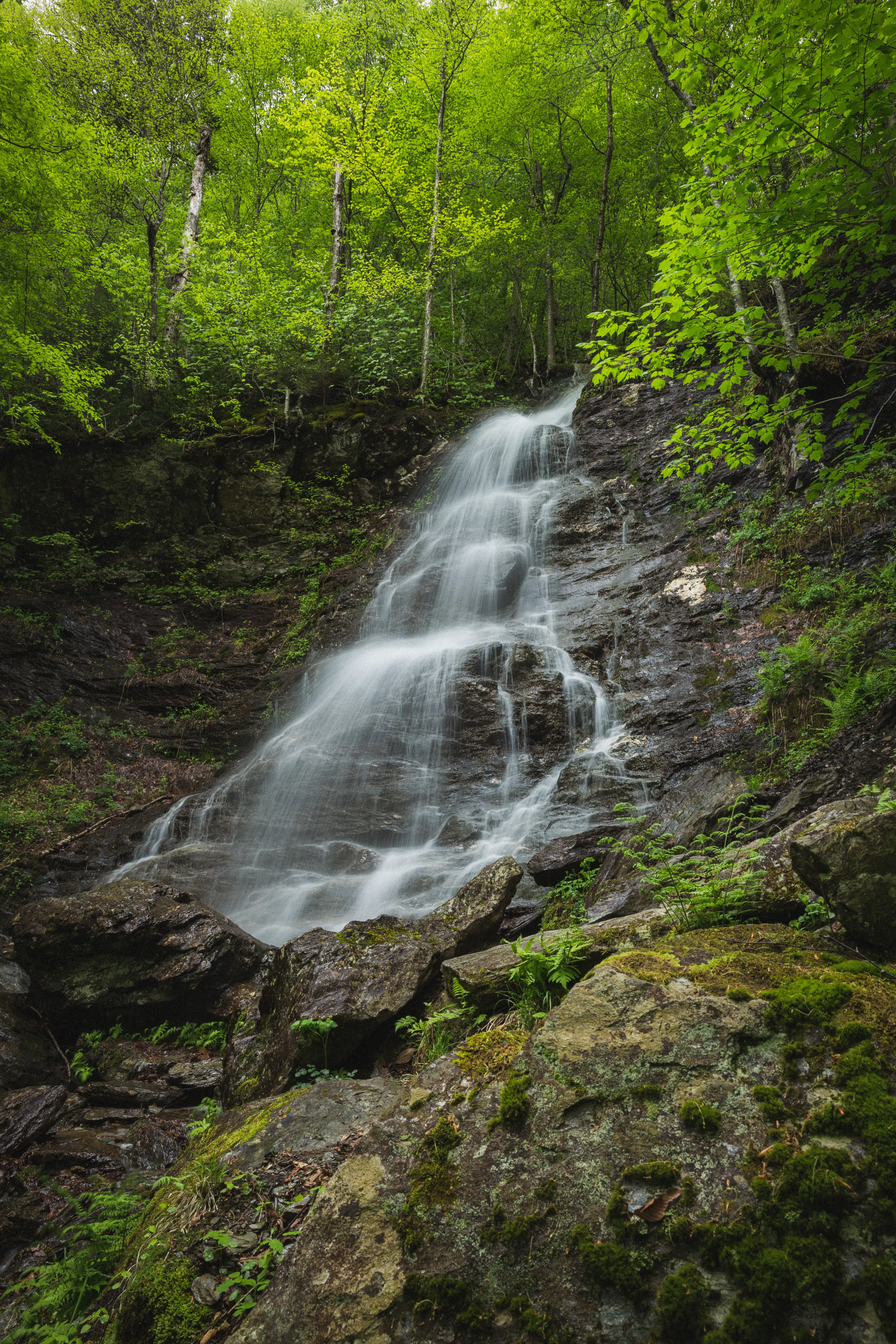Hike the March Cataract Falls Trail