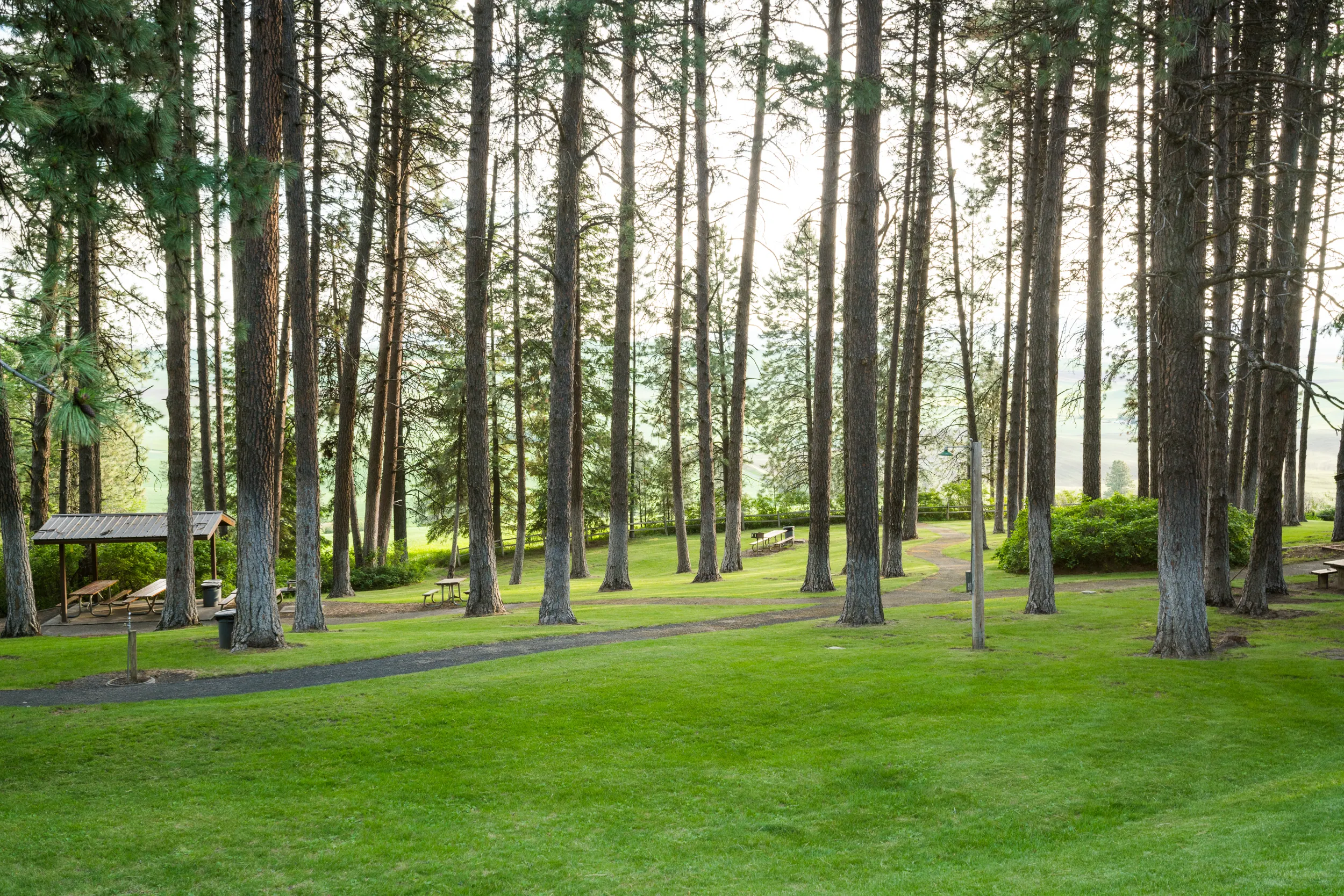 Kamiak Butte Park Loop