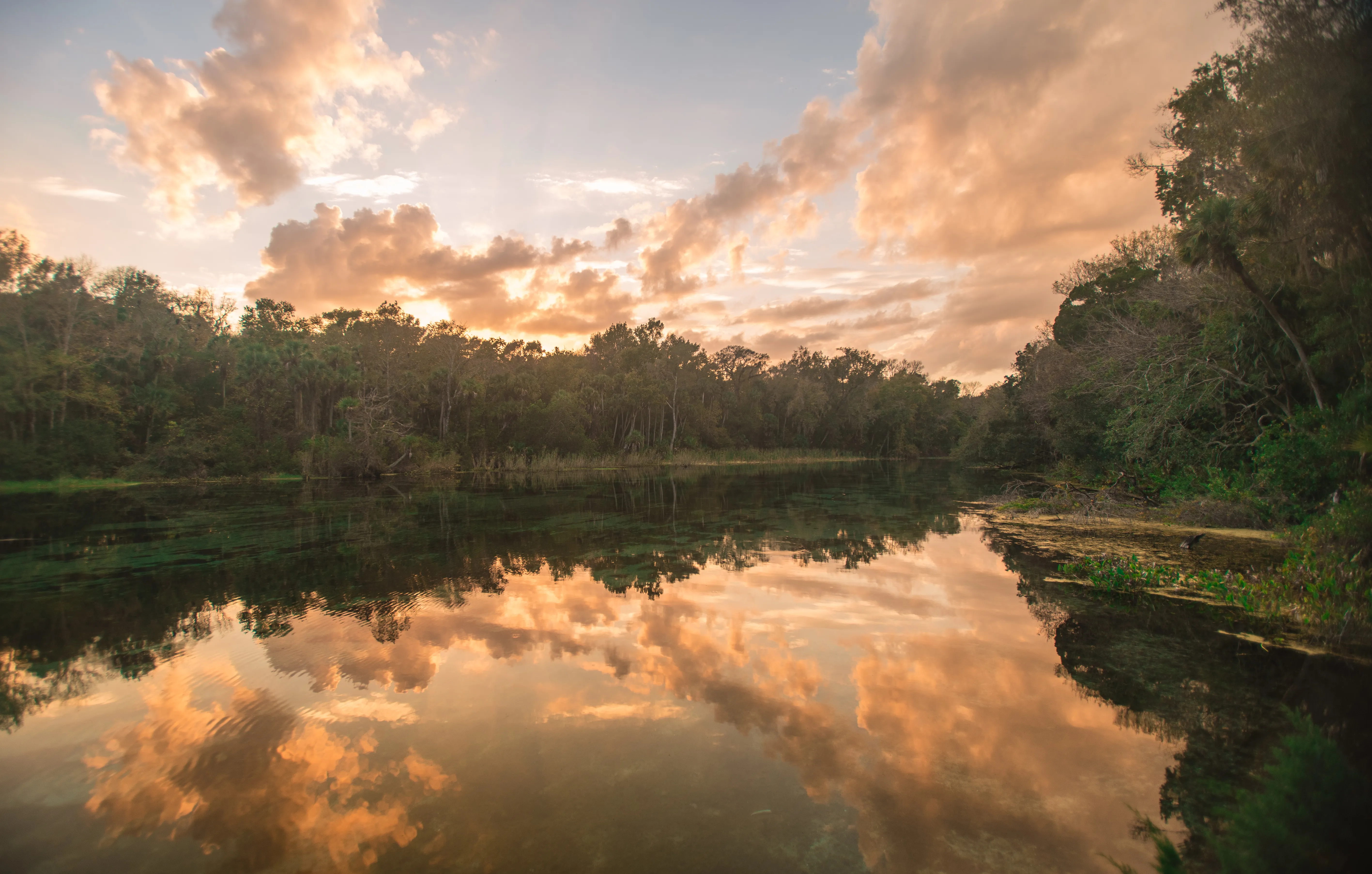 Alexander Springs