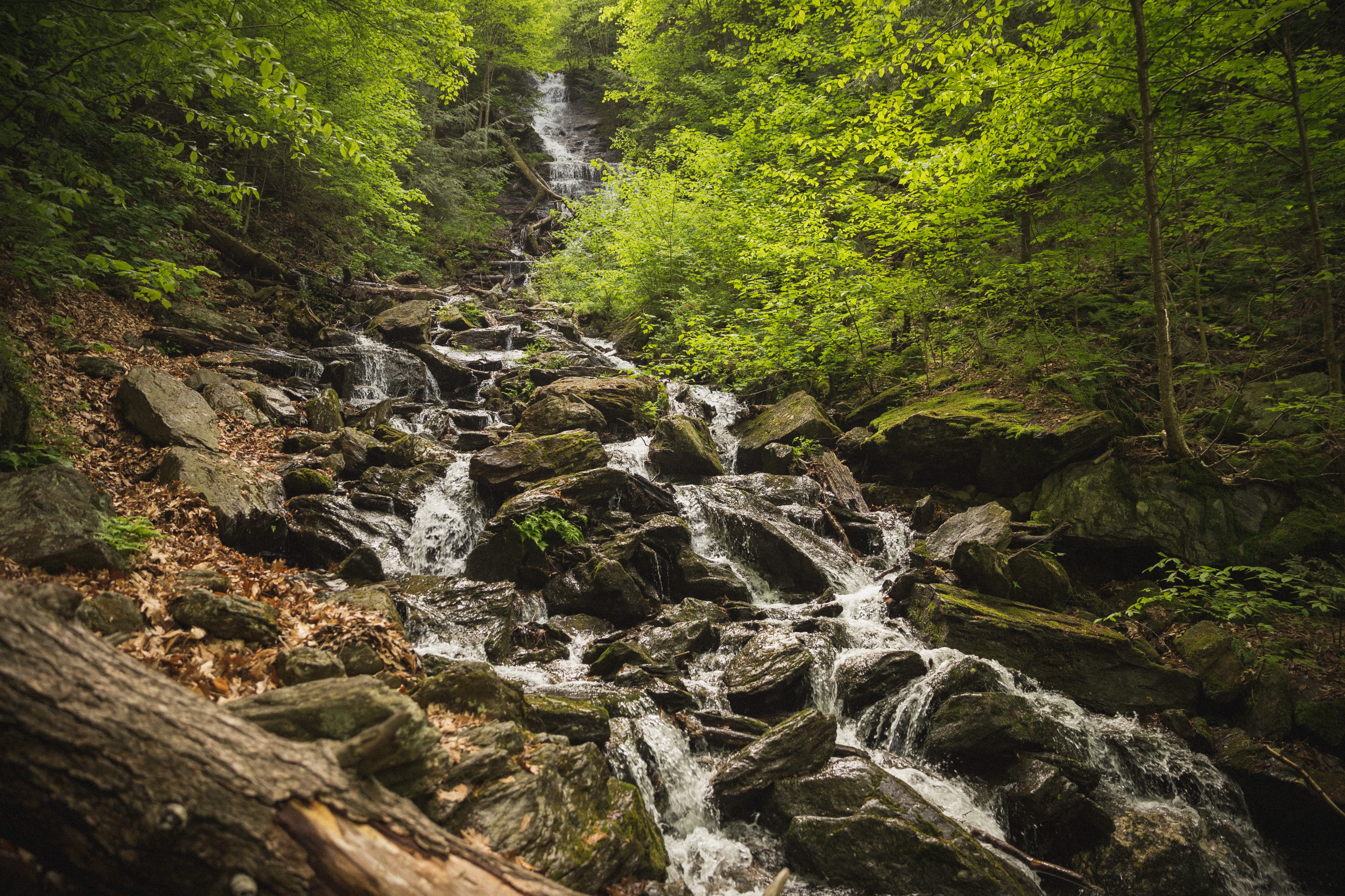 Mount Greylock via Money Brook Trail