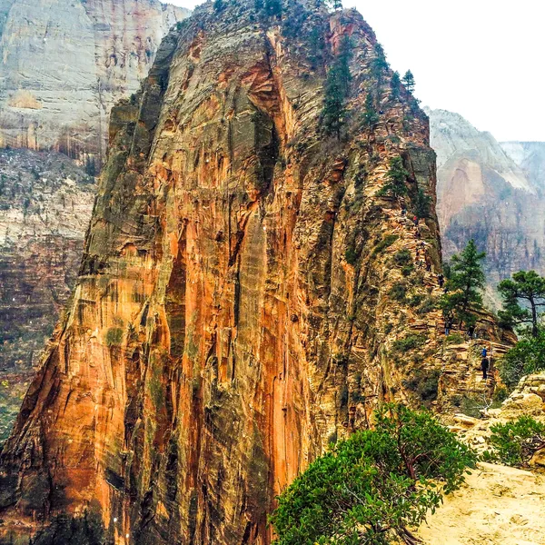 How To Avoid The Crowds At Zion National Park