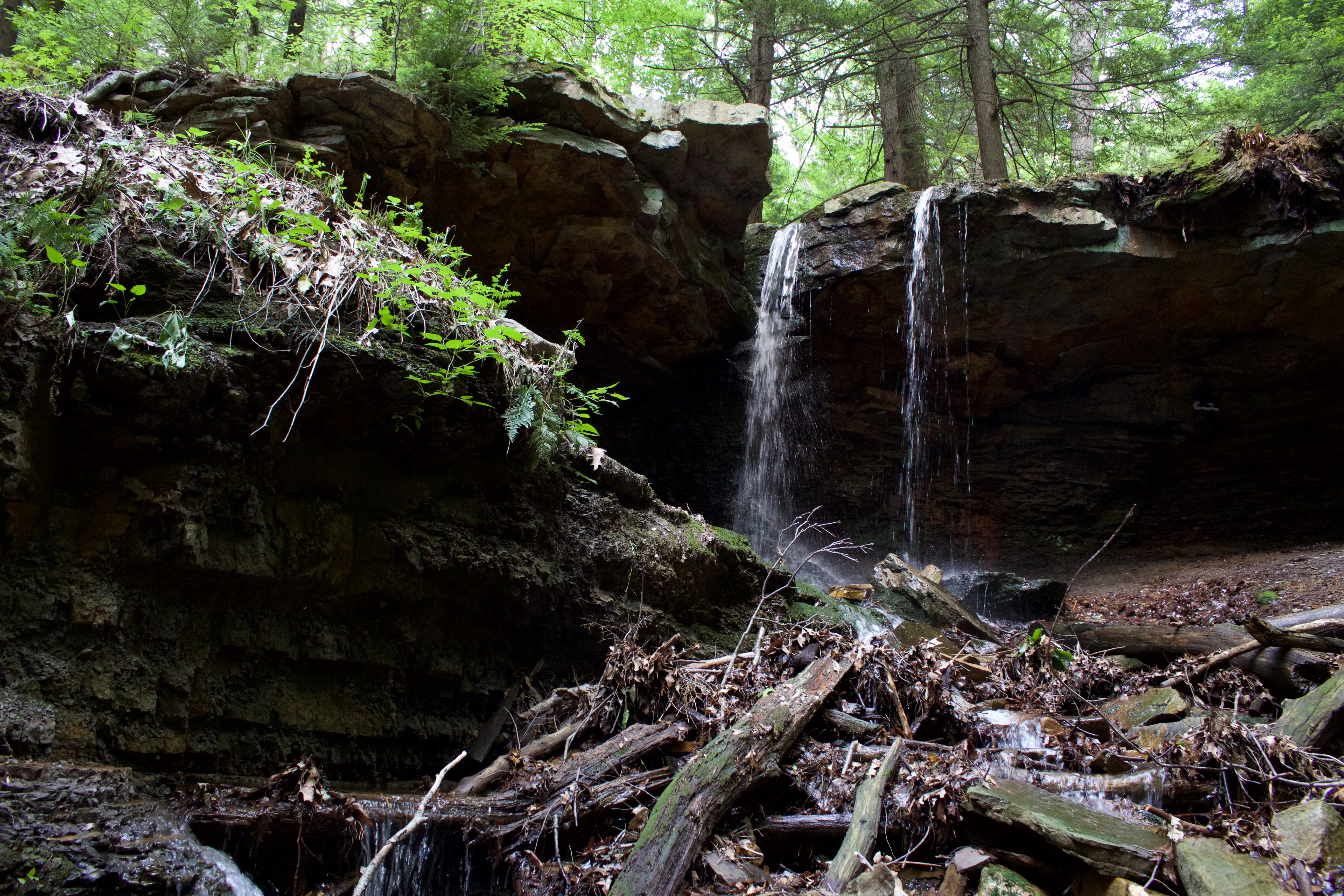 Adams Falls Trail