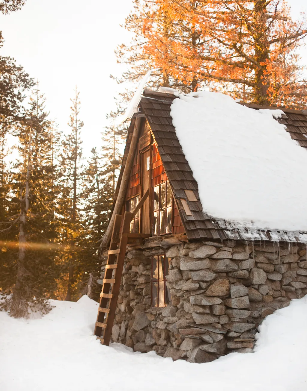 Snowshoe to the Peter Grubb Hut