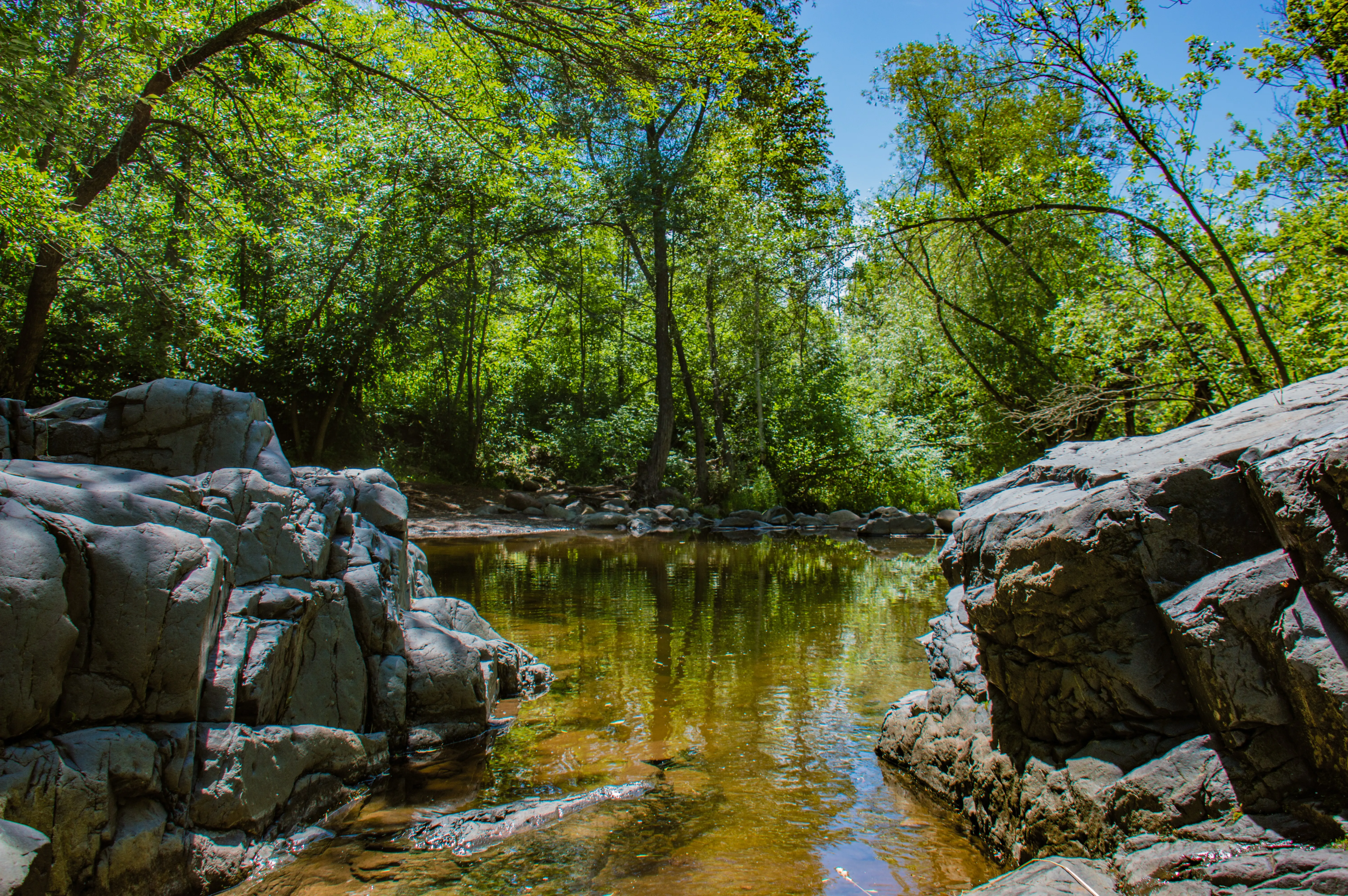 Chester Creek Trail