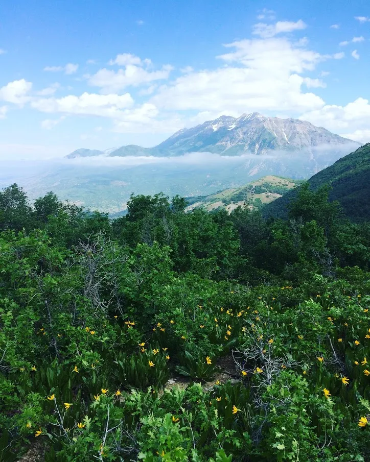 Hike Squaw Peak