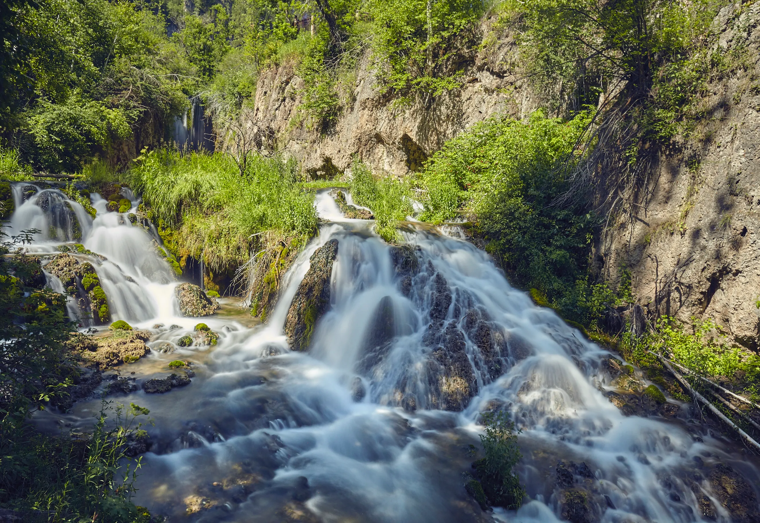 Hike the Roughlock Falls Trail