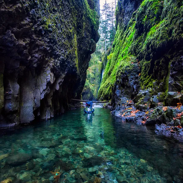 See Nature in a Whole New Light with Gorge Swimming