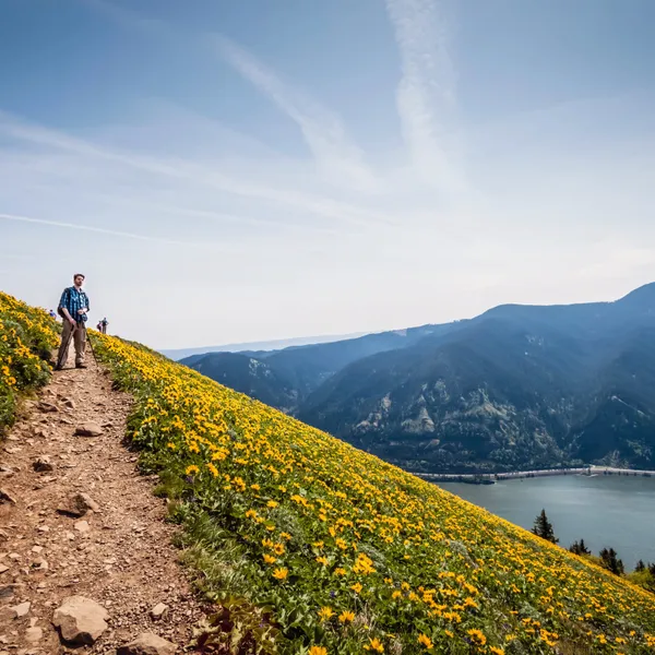 How to Avoid Ticks, Mosquitos, and Poison Ivy on Your Adventures