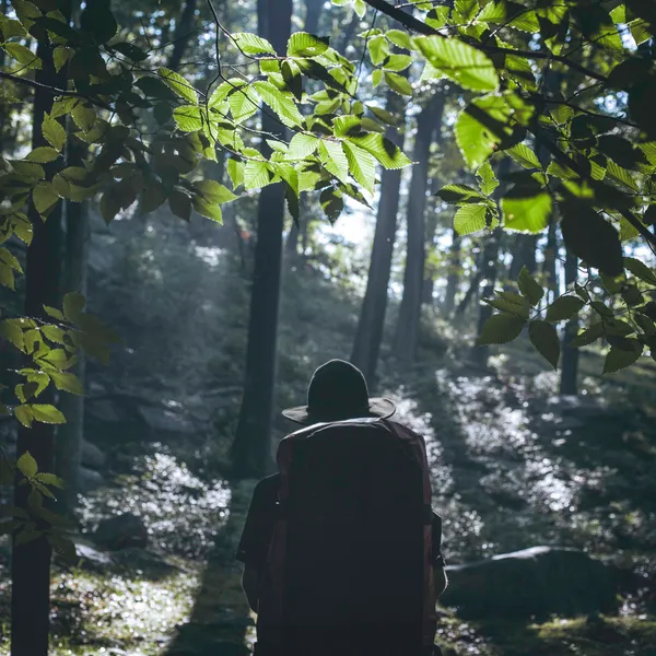 The Hunt for the Wilderness from New York City