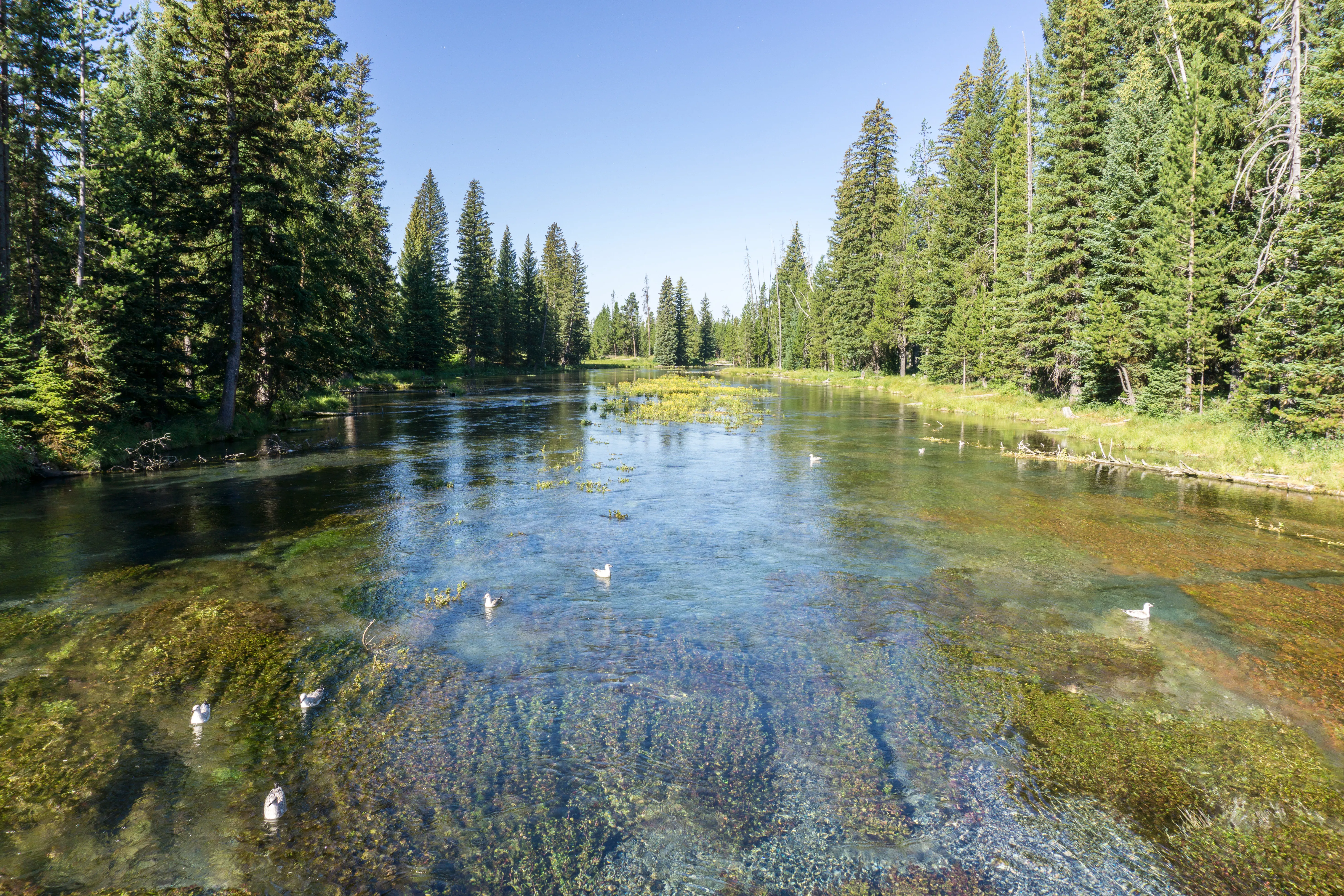 Big Springs and Johnny Sack's Cabin