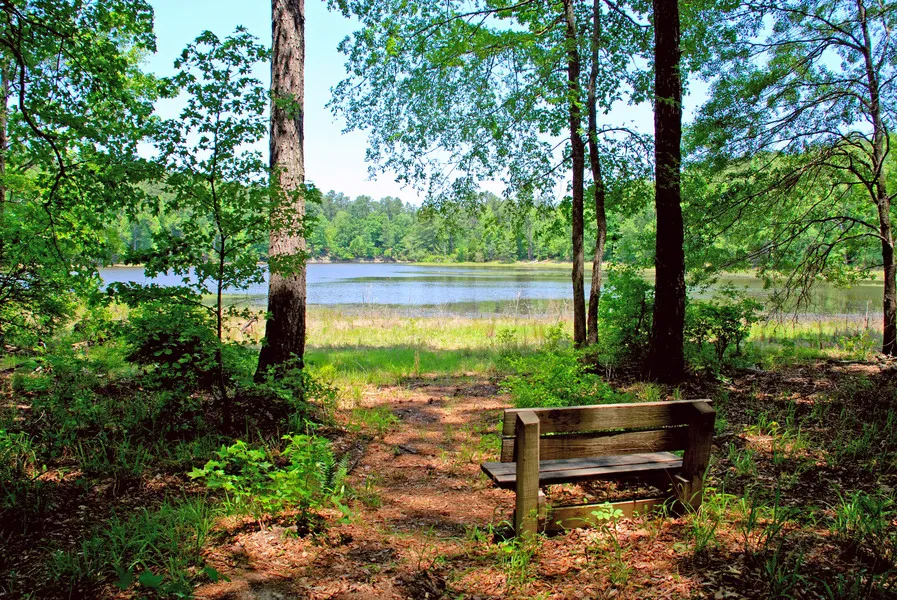 Cliatt Creek Loop to Rock Dam Trail
