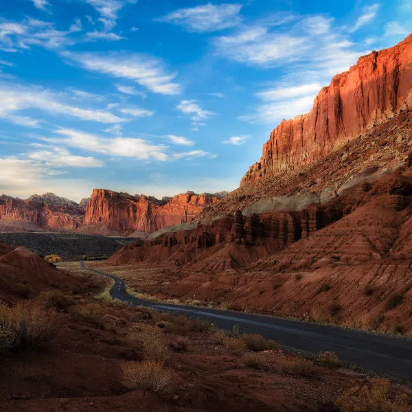 National Park Road Trip Guide: Southwest Edition
