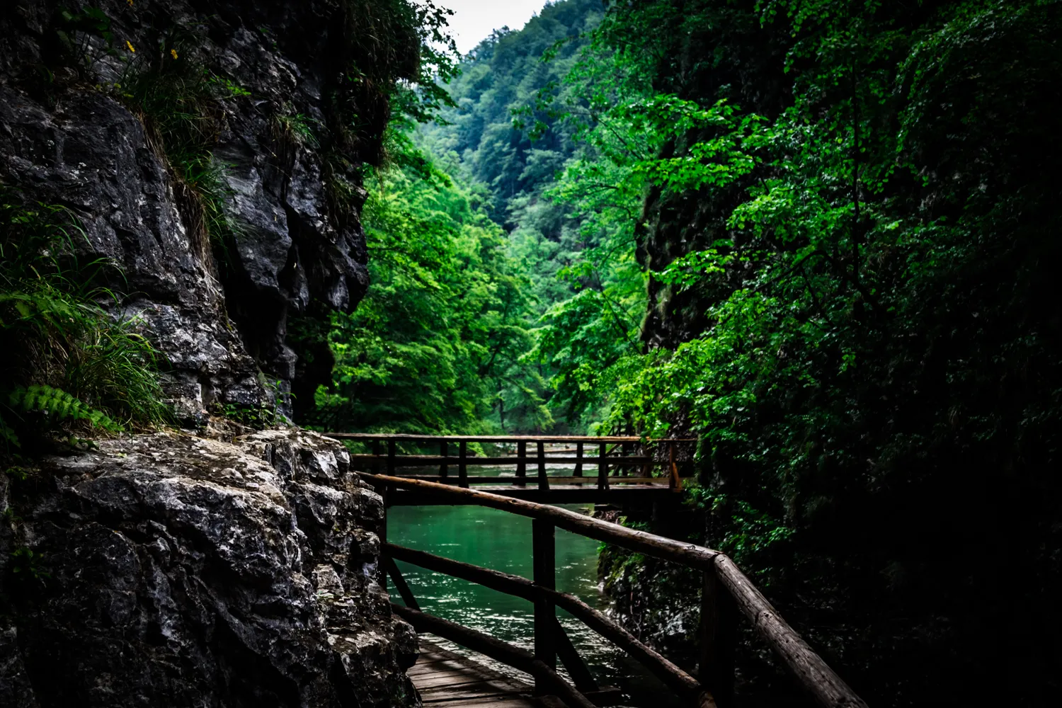 Hike the Vintgar Gorge 