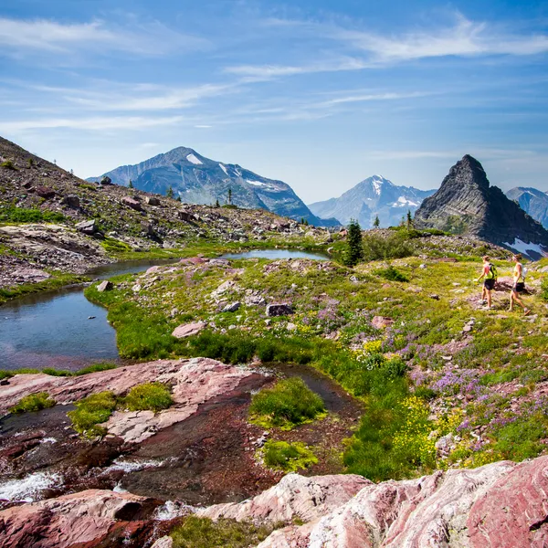 National Park Road Trip Guide: Mountain West Edition