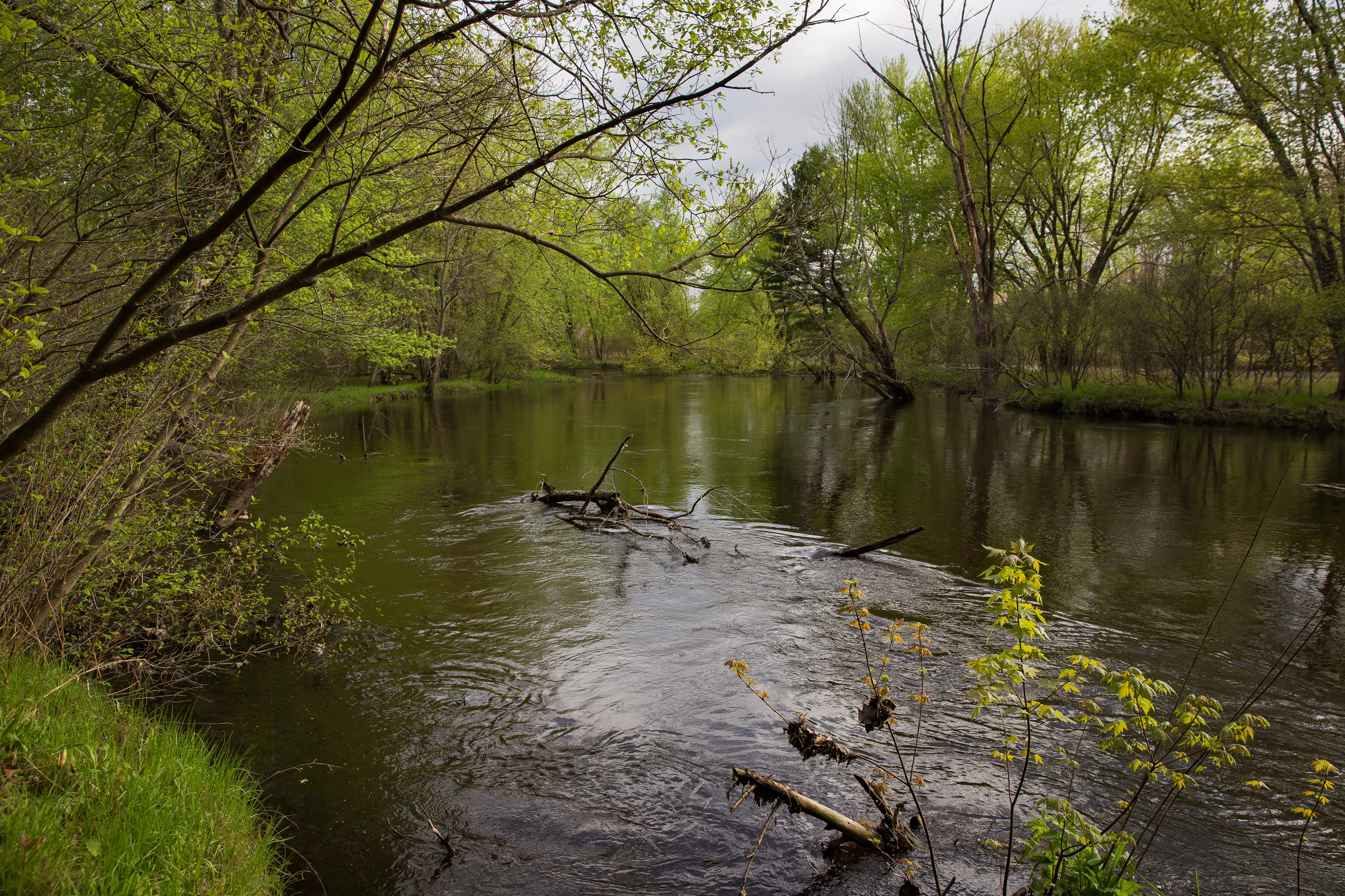 Hike along the Nashua River and the Oxbow National Wildlife Refuge