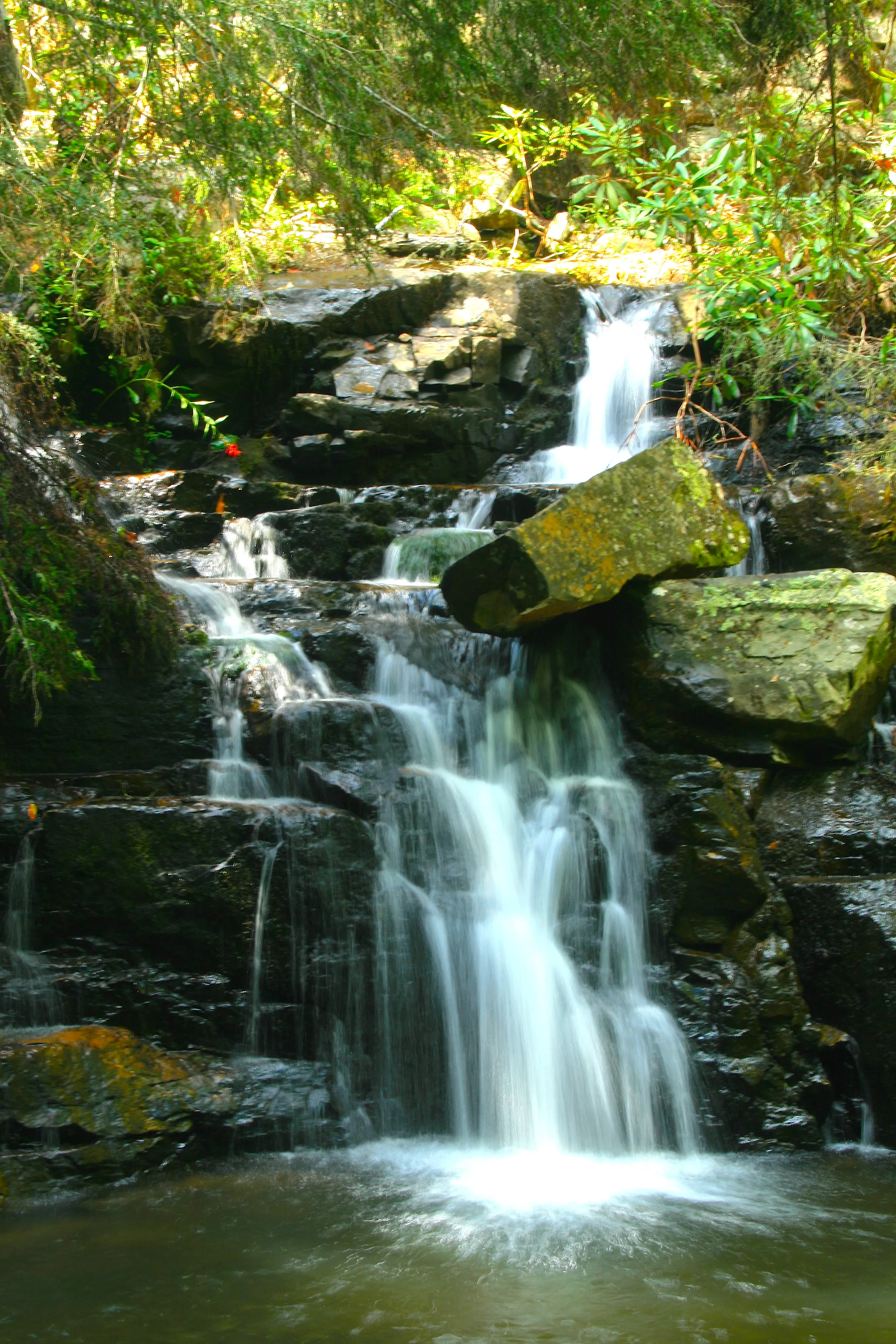 Hike the Scenic Spur Trail