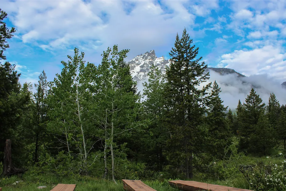 Camp at the Jenny Lake Campground