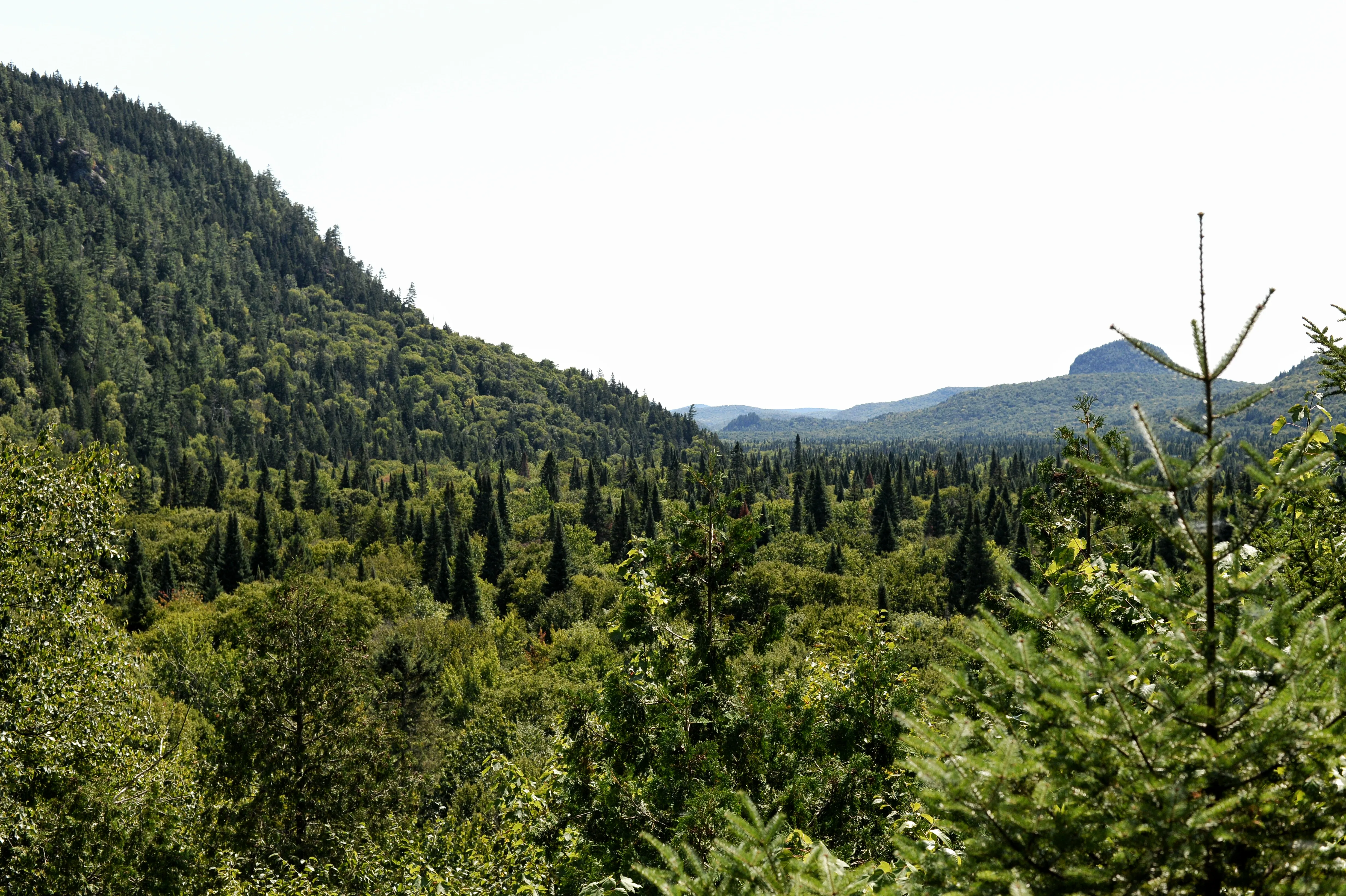 Hike Le Centenaire in Parc National du Mont-Tremblant