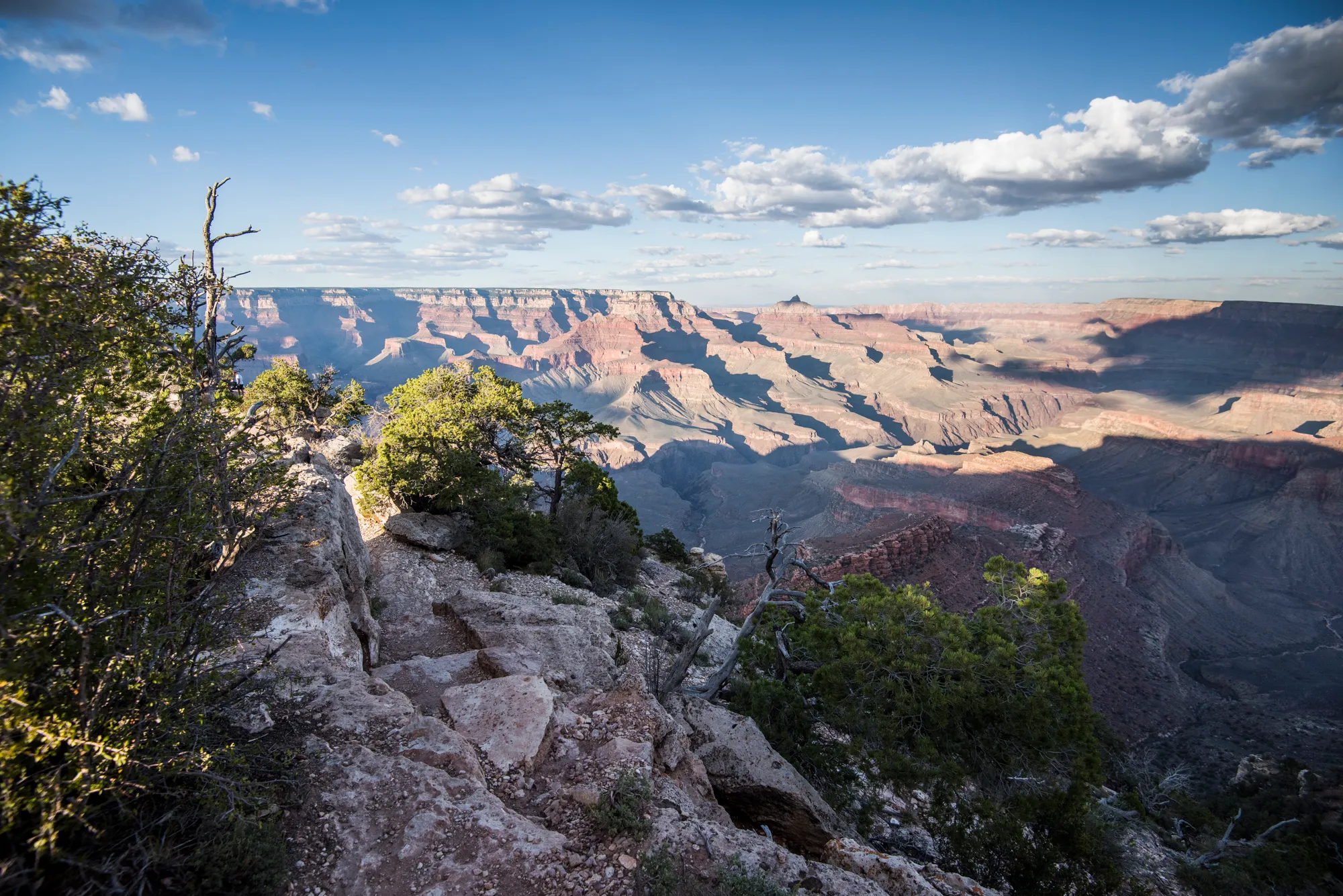 Shoshone Point