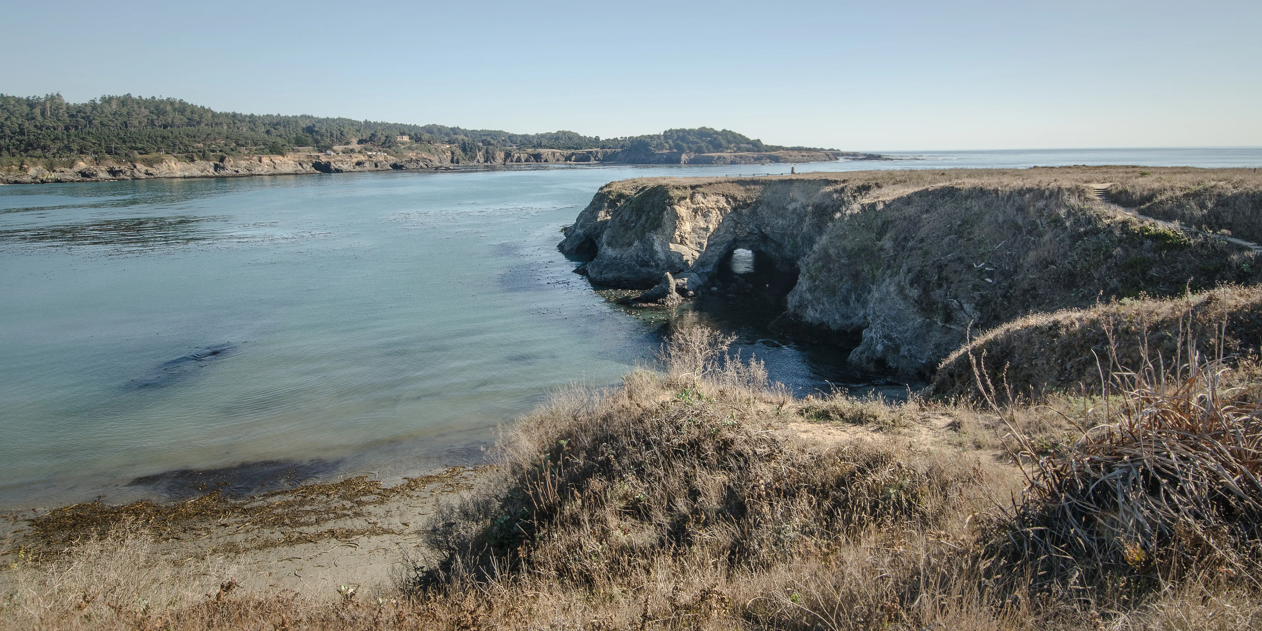 Mendocino Cliffs Trail