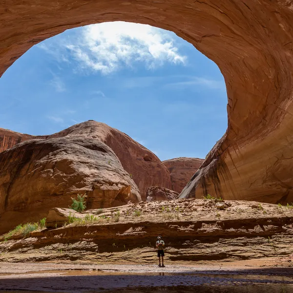 Canyon Rebirth - Exploring the Lower Escalante River Tributaries