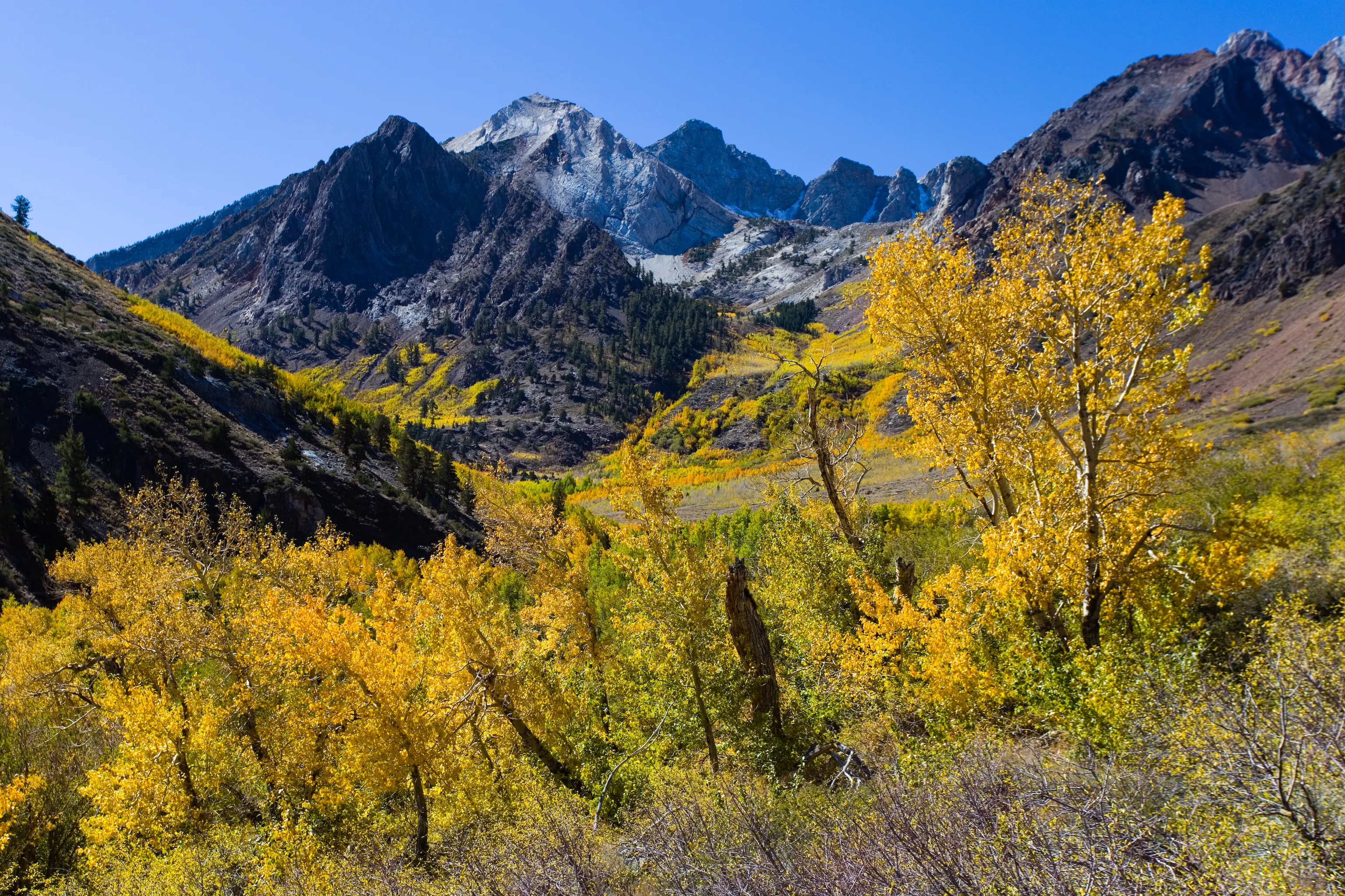 McGee Creek