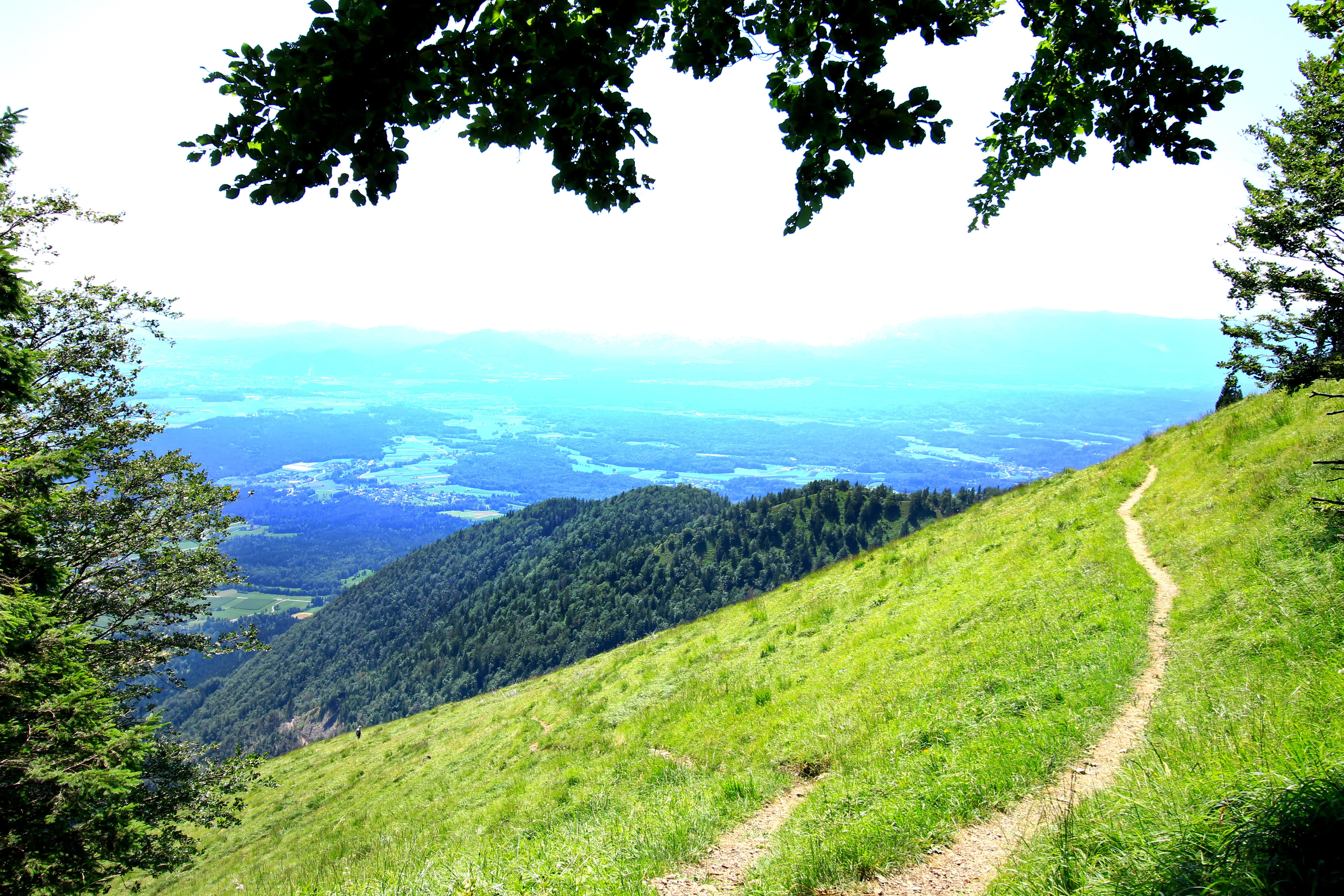 Hike to the Hudičev Boršt Refuge