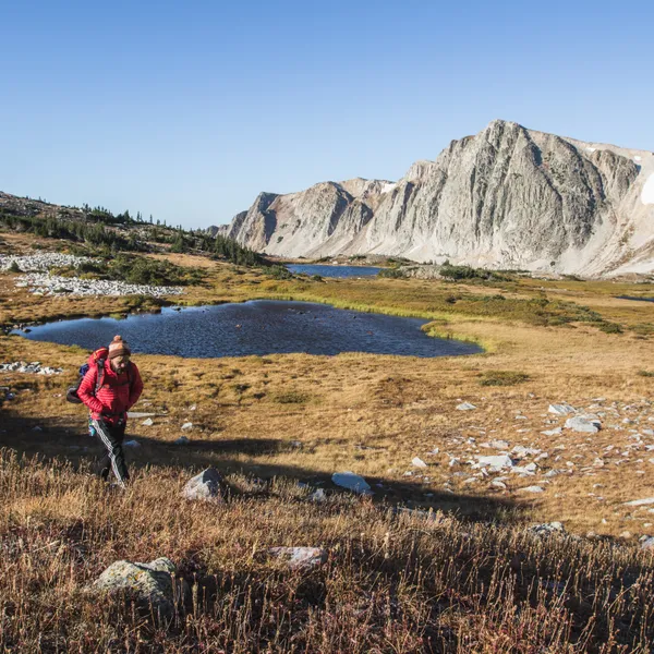 A weekend well spent in Medicine Bow National Forest