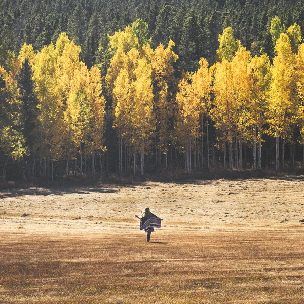 Colorado Fall Foliage: 5 Amazing Places to Watch the Trees Catch Fire