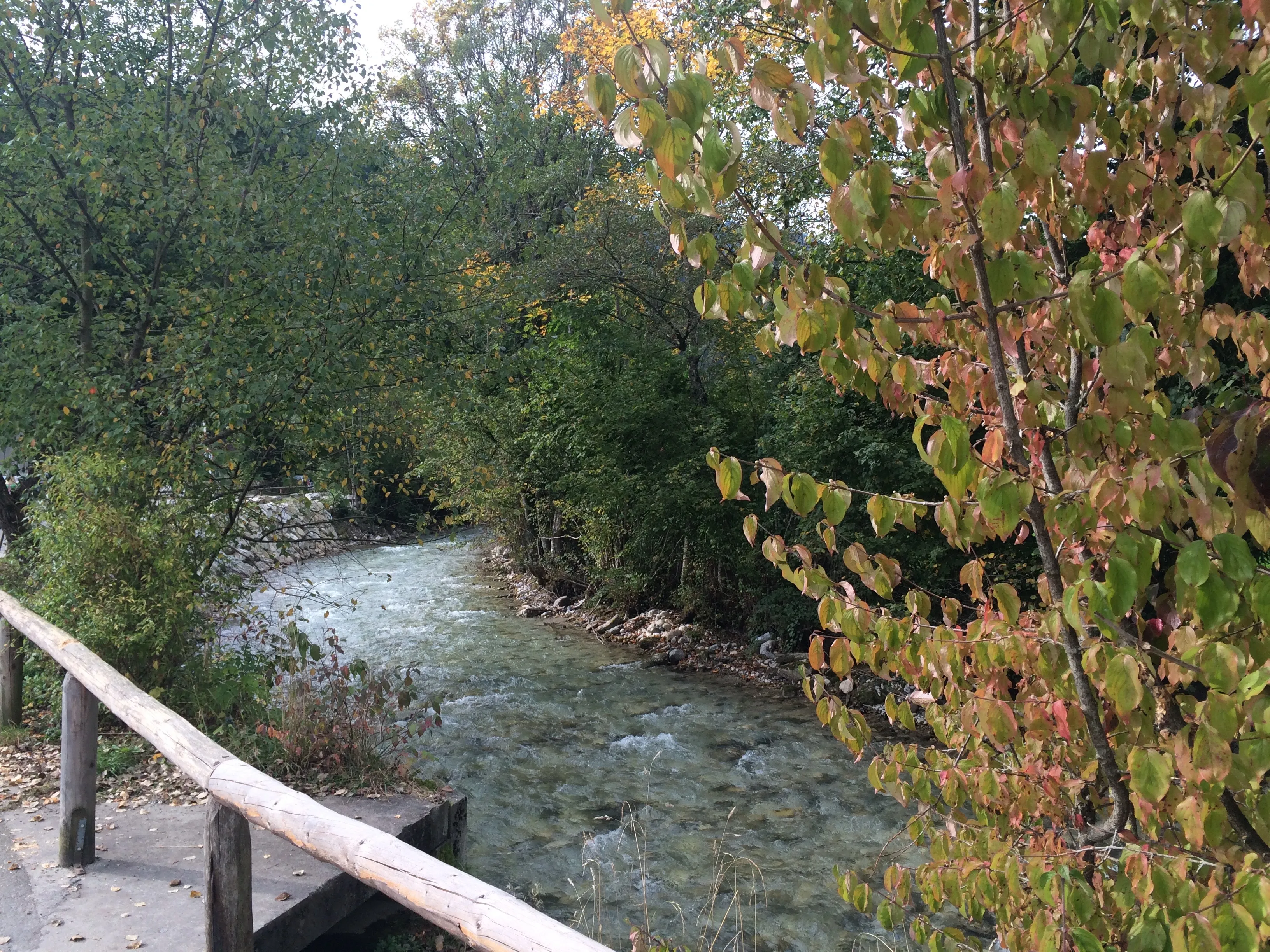 Hike through the Partnach Gorge in Garmisch-Partenkirchen