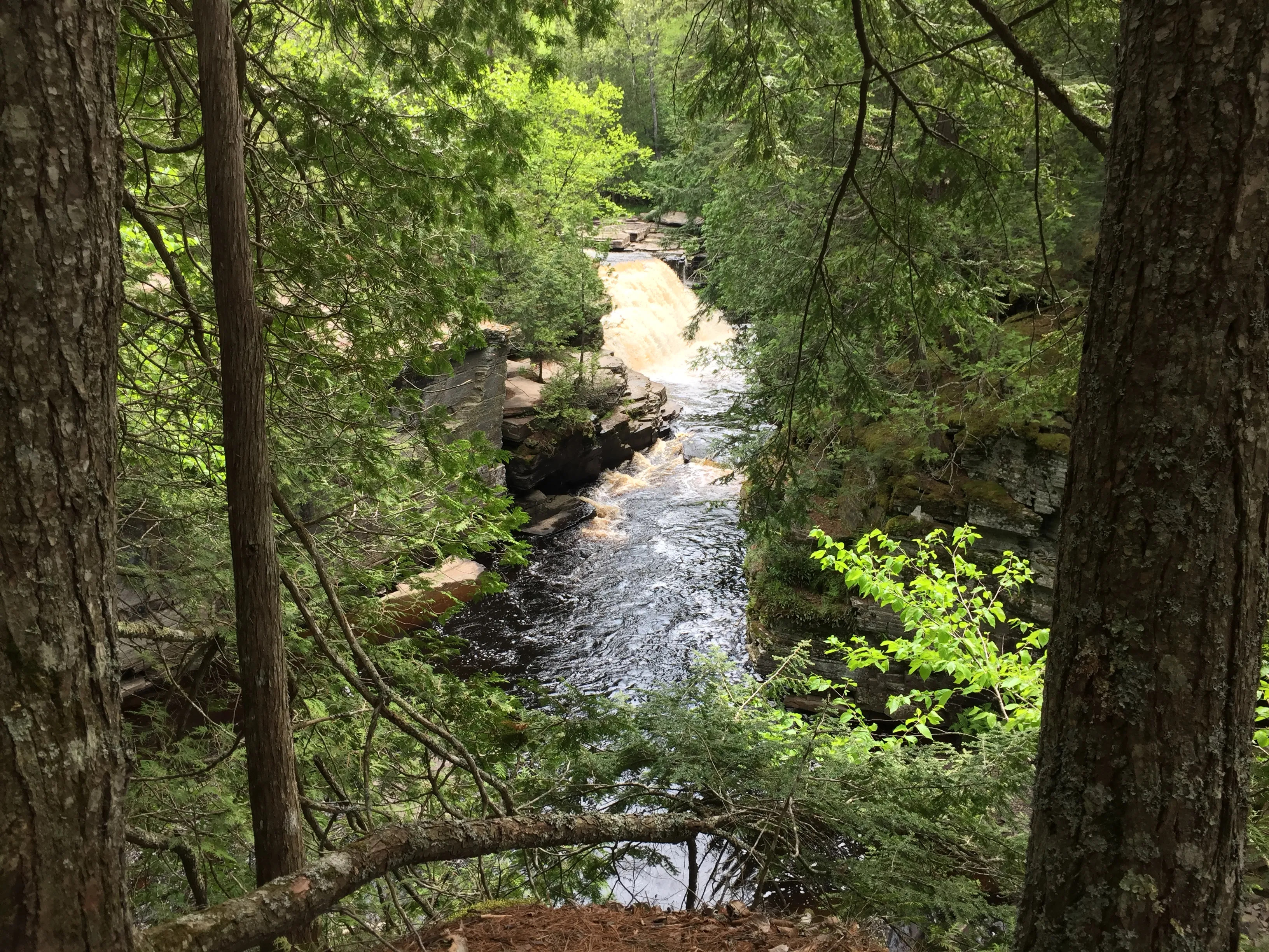 Hike the Canyon Falls Gorge and Jump into Canyon Falls