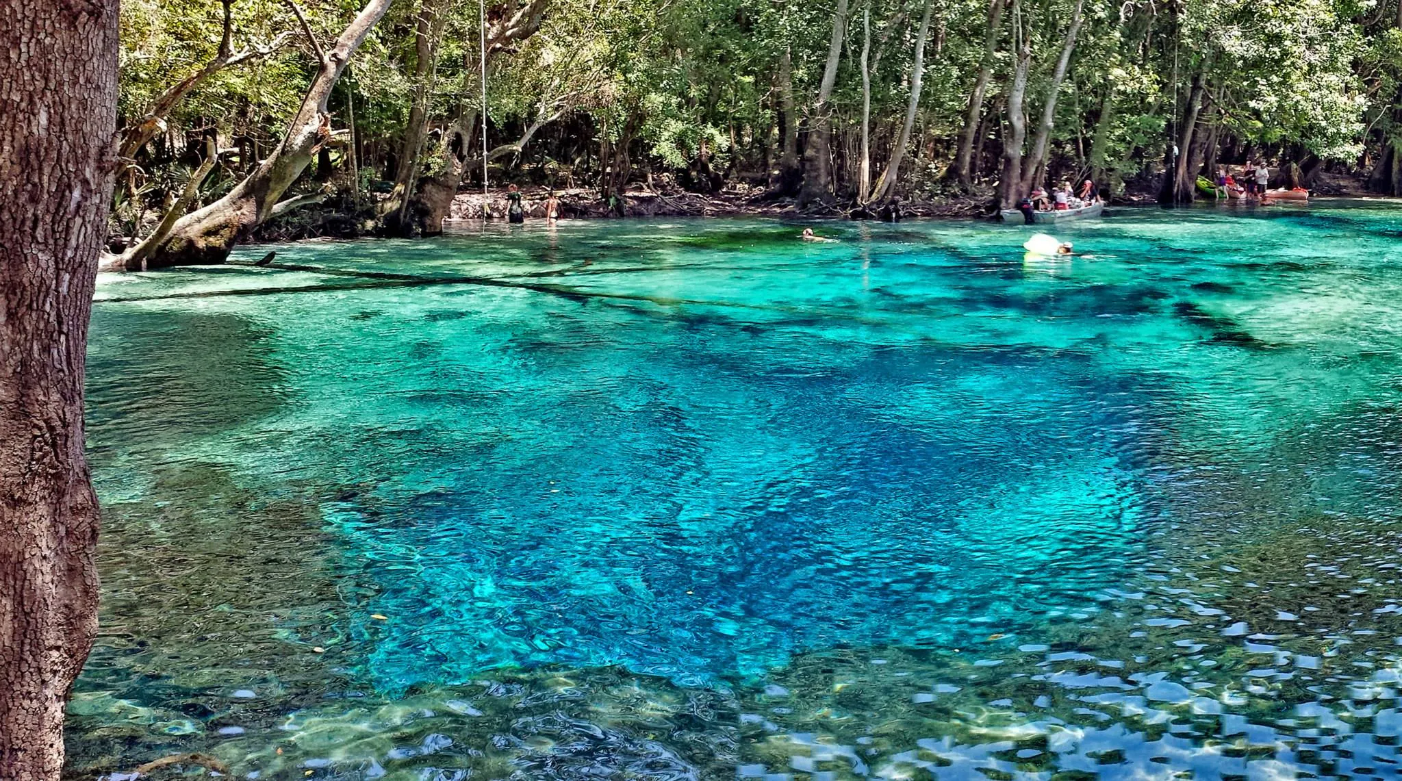 Cypress Spring via Cotton Landing